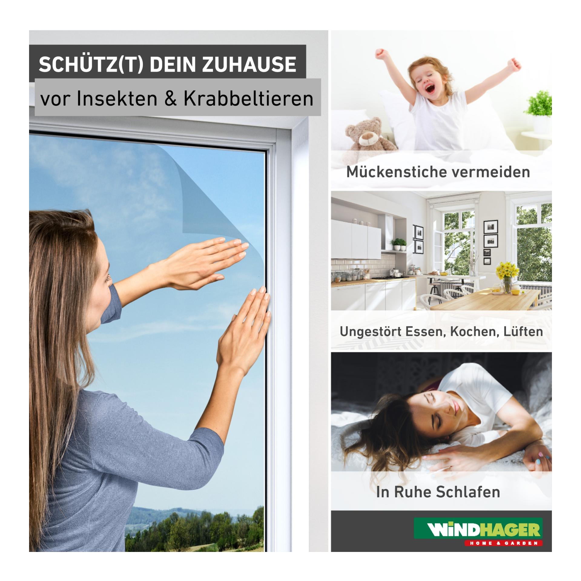 Windhager Moustiquaire IS pour fenêtre- anthracite