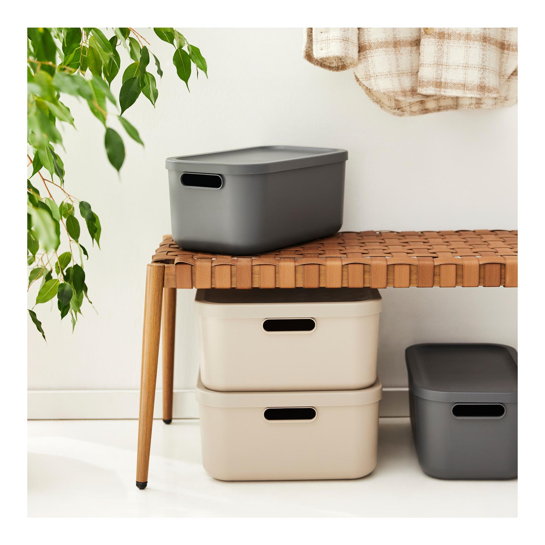 Rotho ALBULA LIGHT 12 Liter