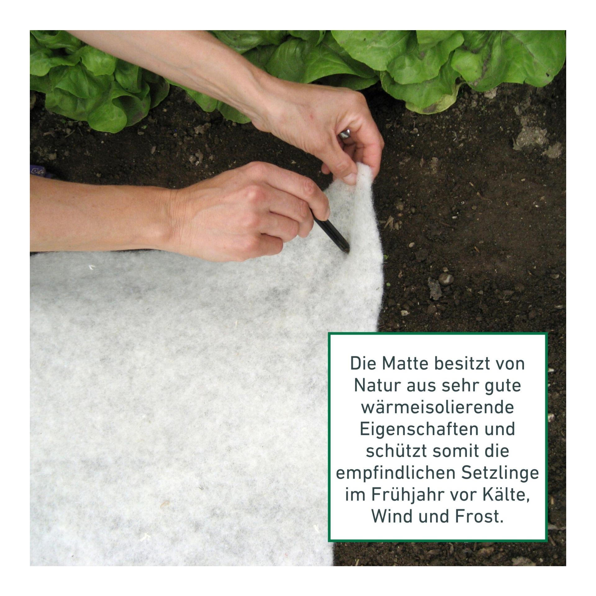 Windhager Schafwoll-Wachstumsmatte Greenline