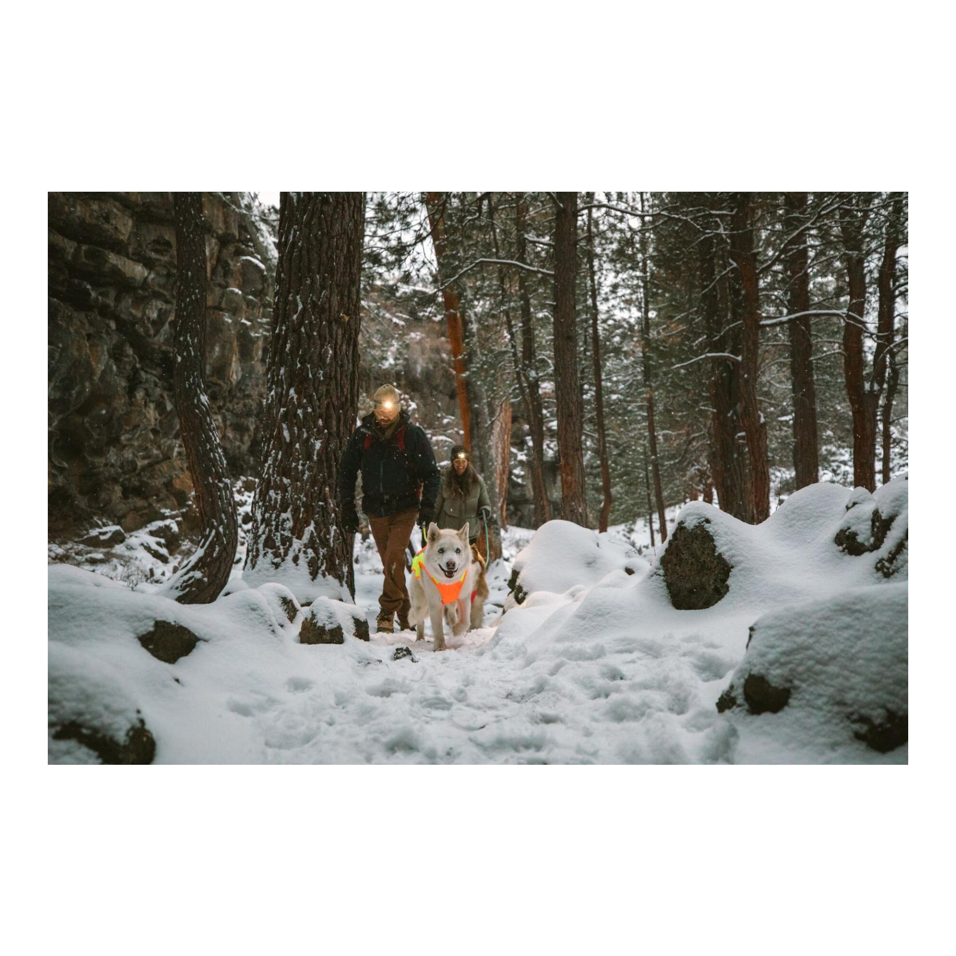 Ruffwear Lumenglow™ Hi-Viz Jacket Hundejacke - blaze orange