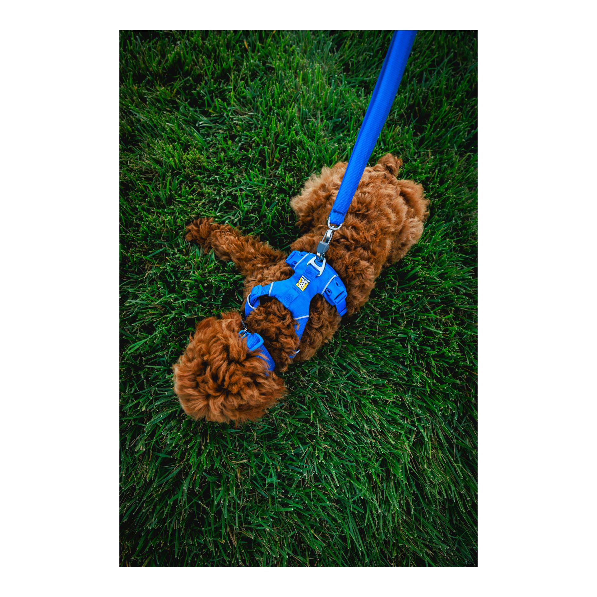 Ruffwear Front Range® Hundegeschirr