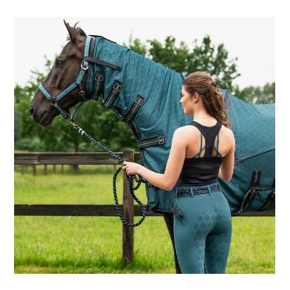 QHP Reitleggings Micah Vollbesatz