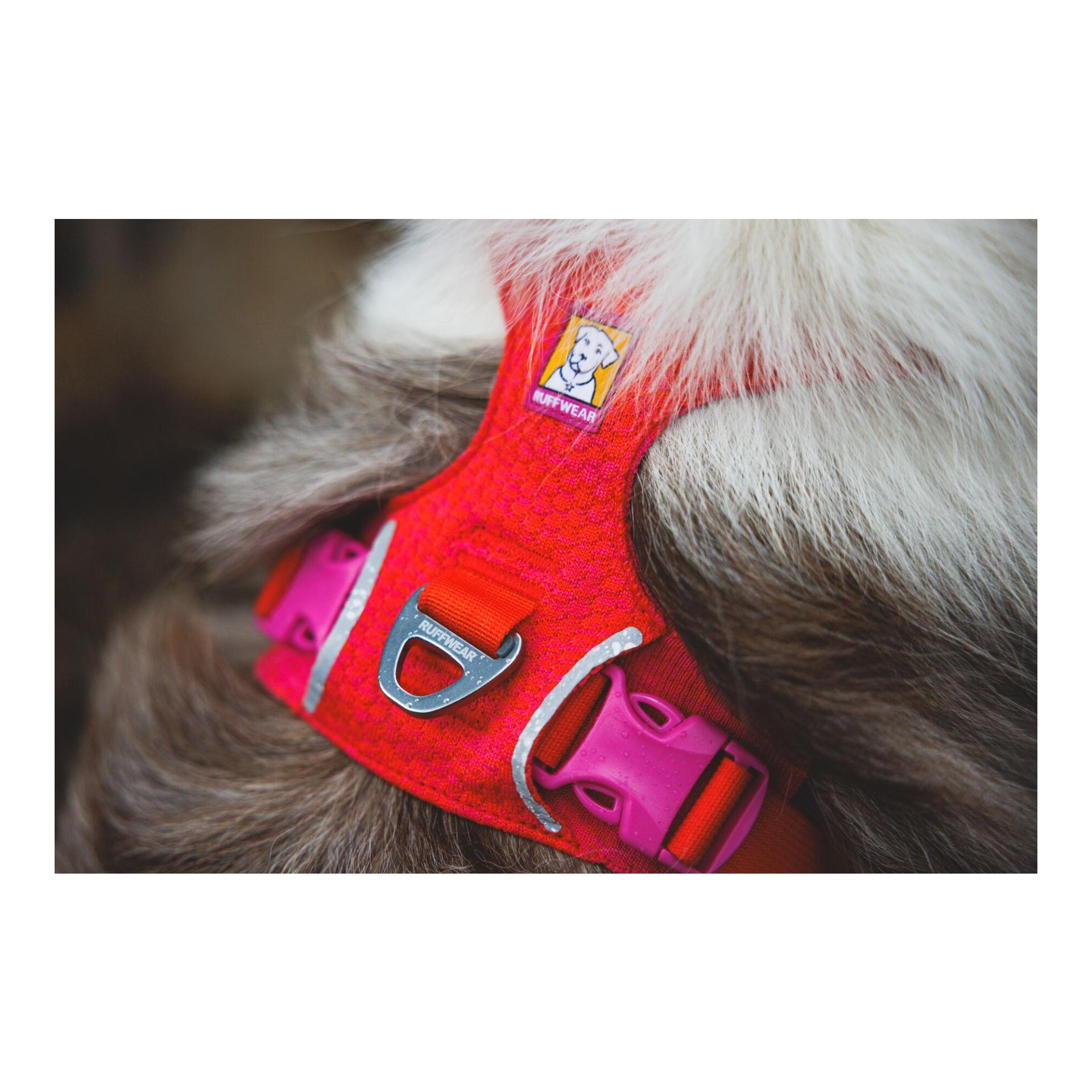 Ruffwear Front Range® Flex Harnais pour chien