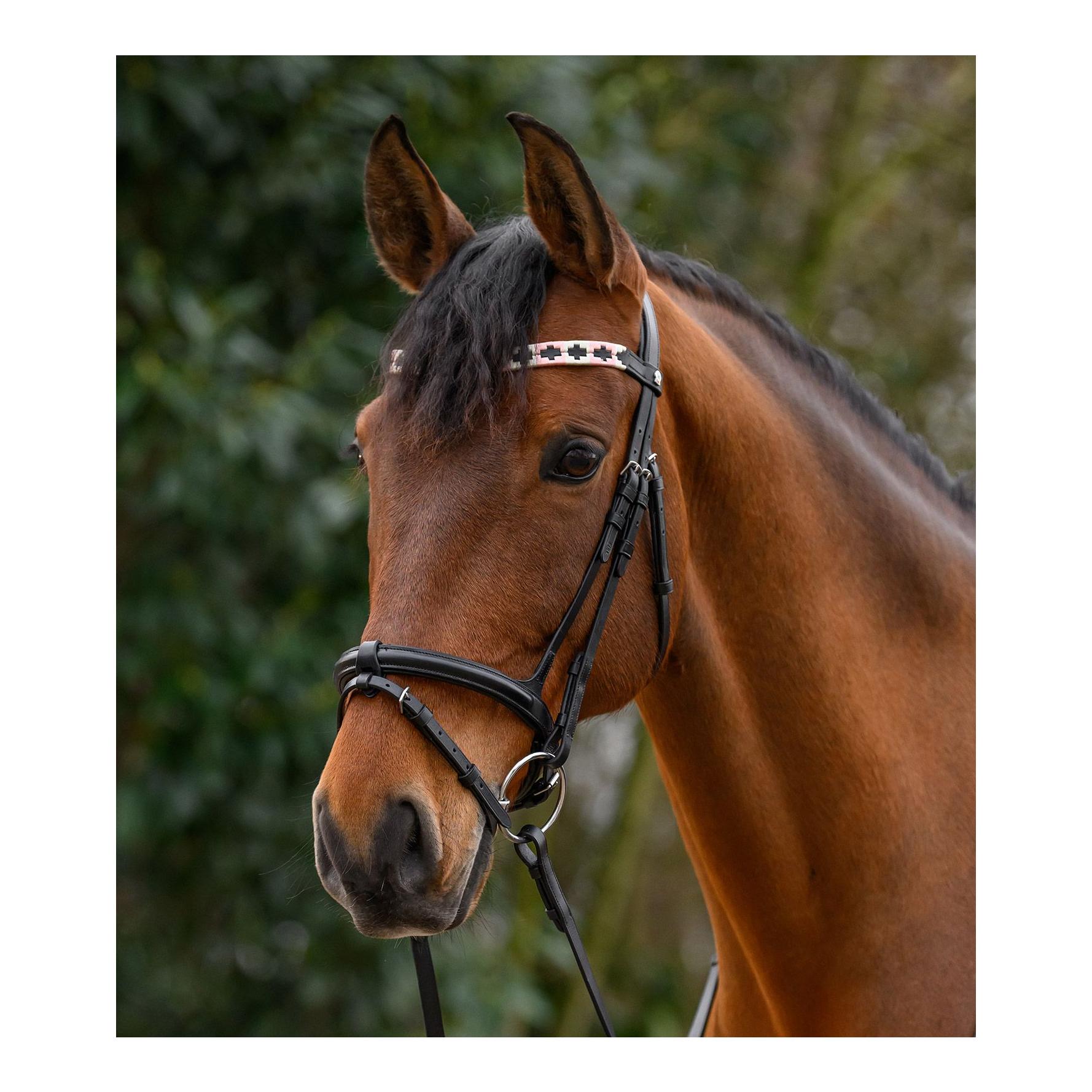 Waldhausen Stirnband Polo X-Line