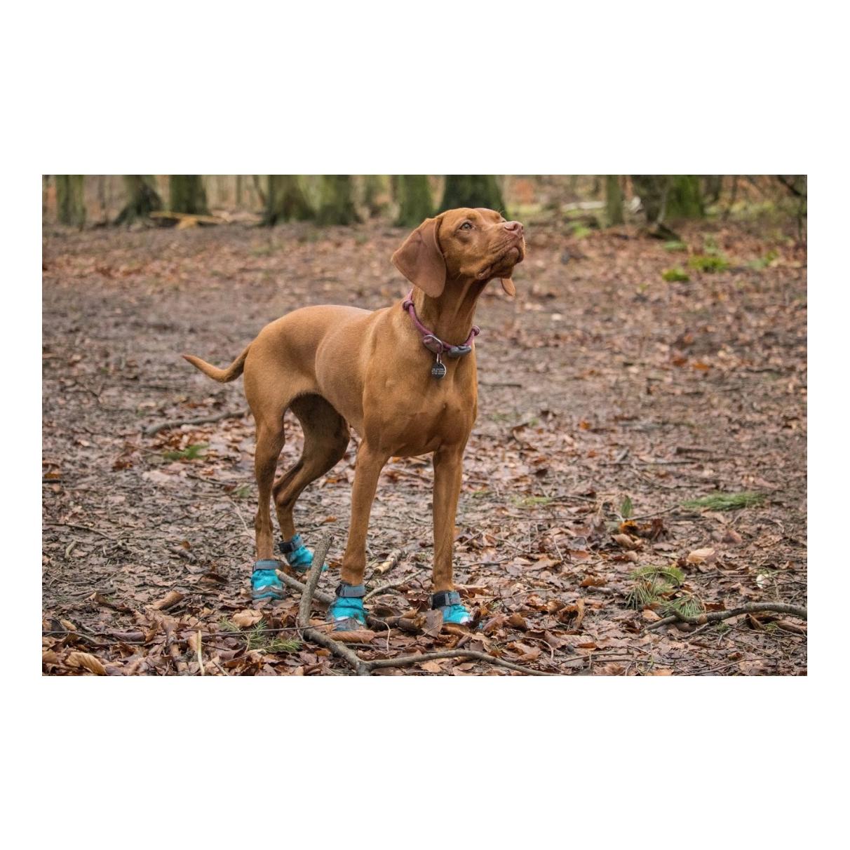 Ruffwear Grip Trex™ - Chaussures pour chiens, lot de 2 - noir