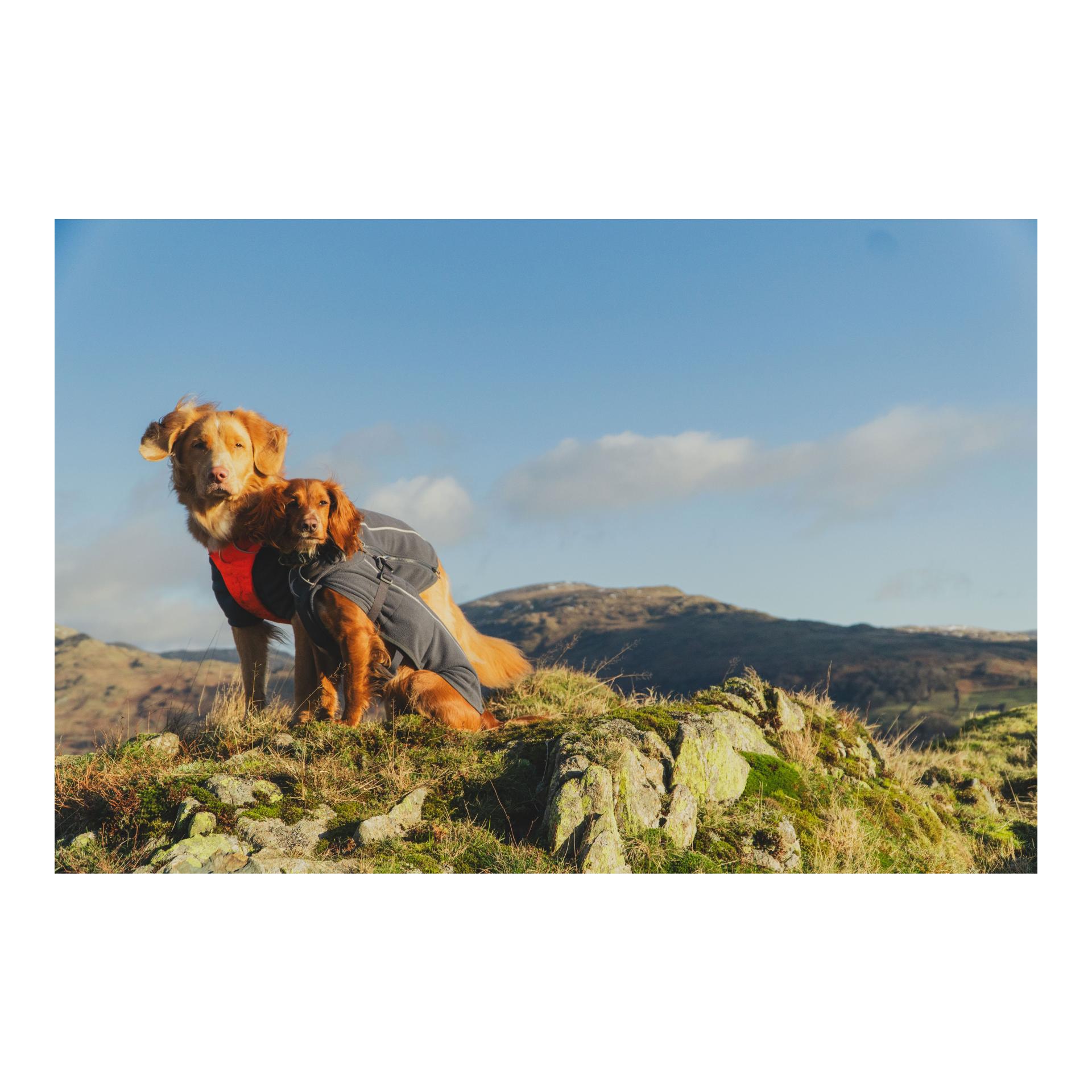 Ruffwear Climate Changer™ Fleece Vest