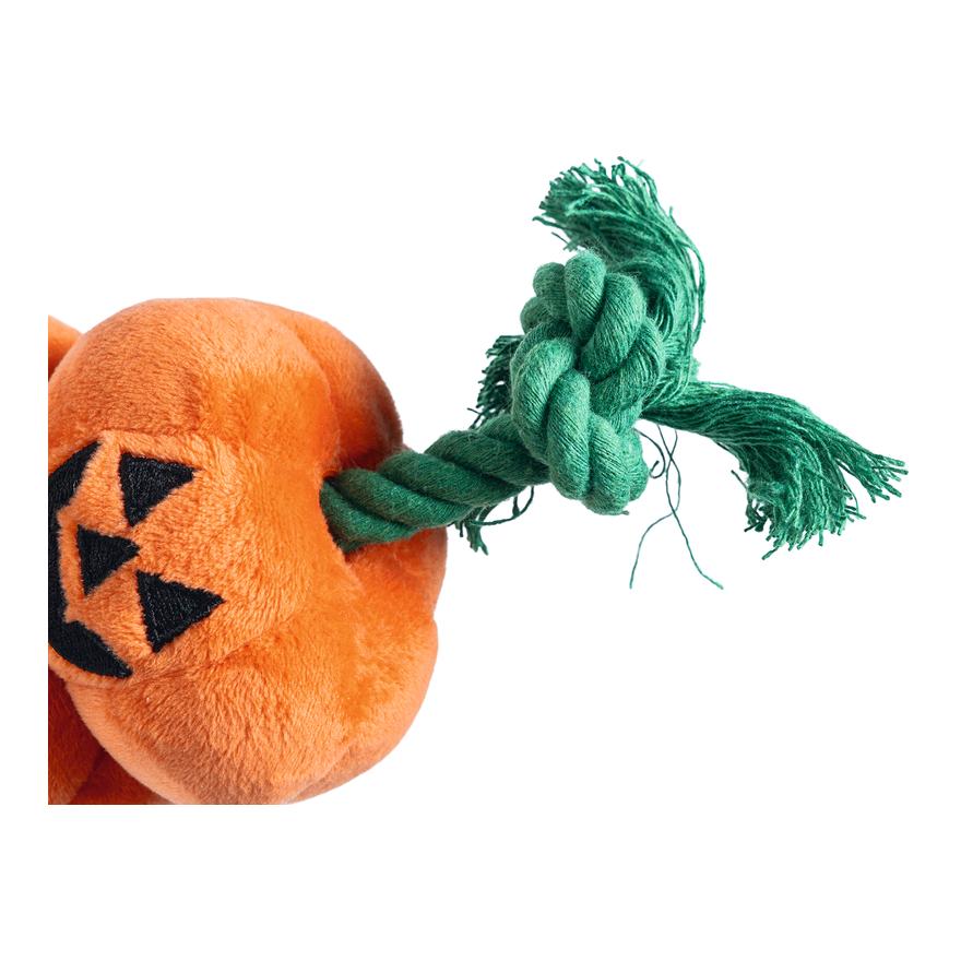 Beeztees Citrouilles d'Halloween avec une corde
