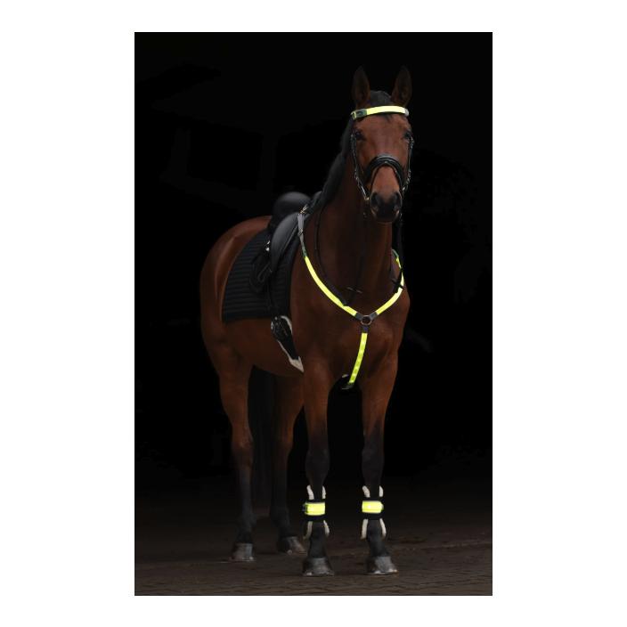Covalliero Stirnriemen LED