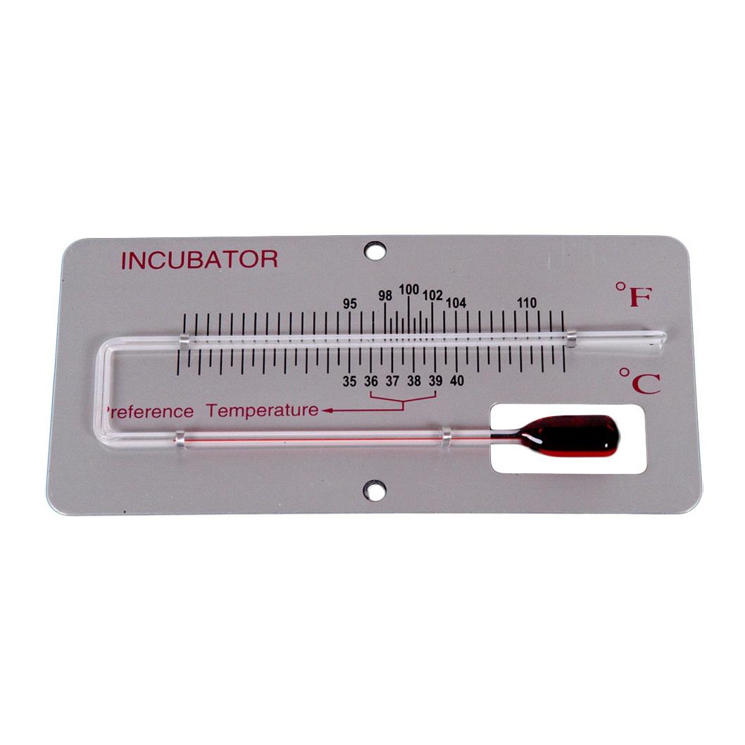 Olba Brutthermometer auf Panel °C / °F