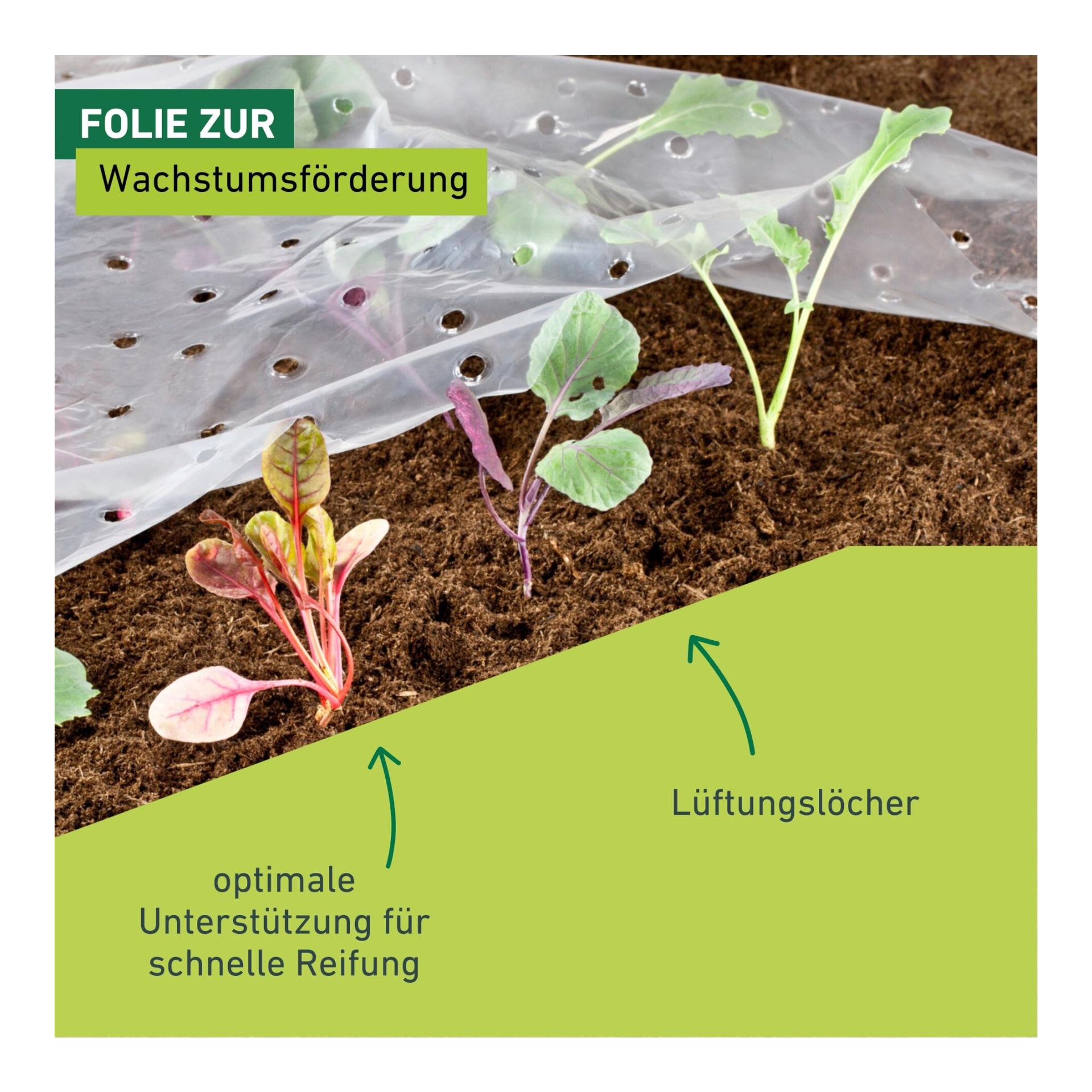 Windhager Frühbeet-Folie