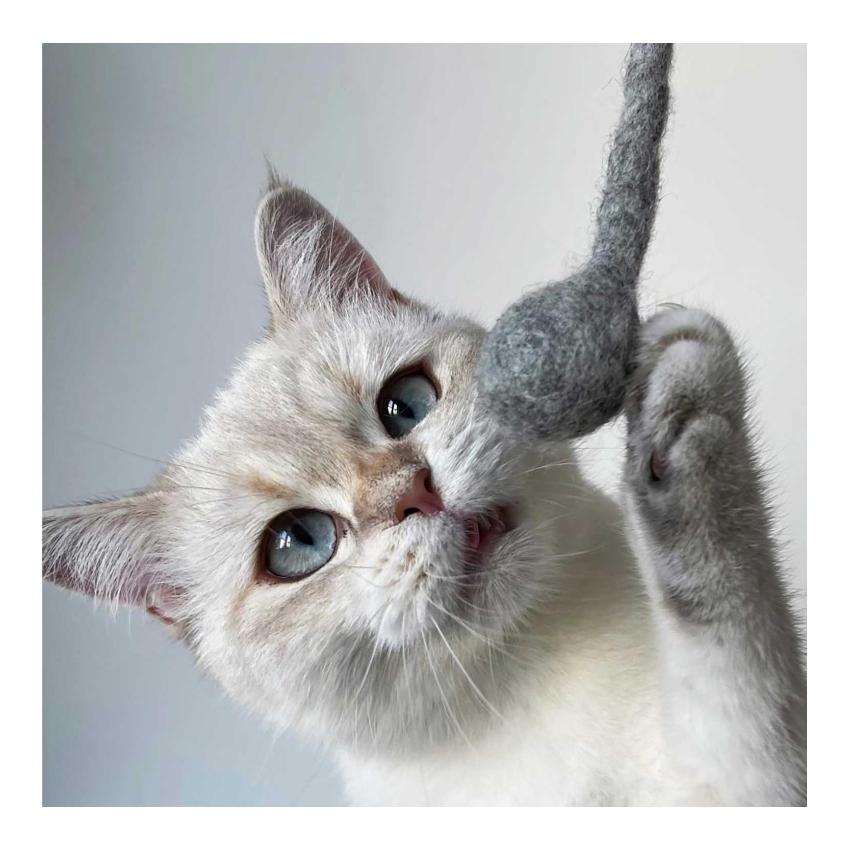 Stylecats by Hunter Jouets pour chats Bombs