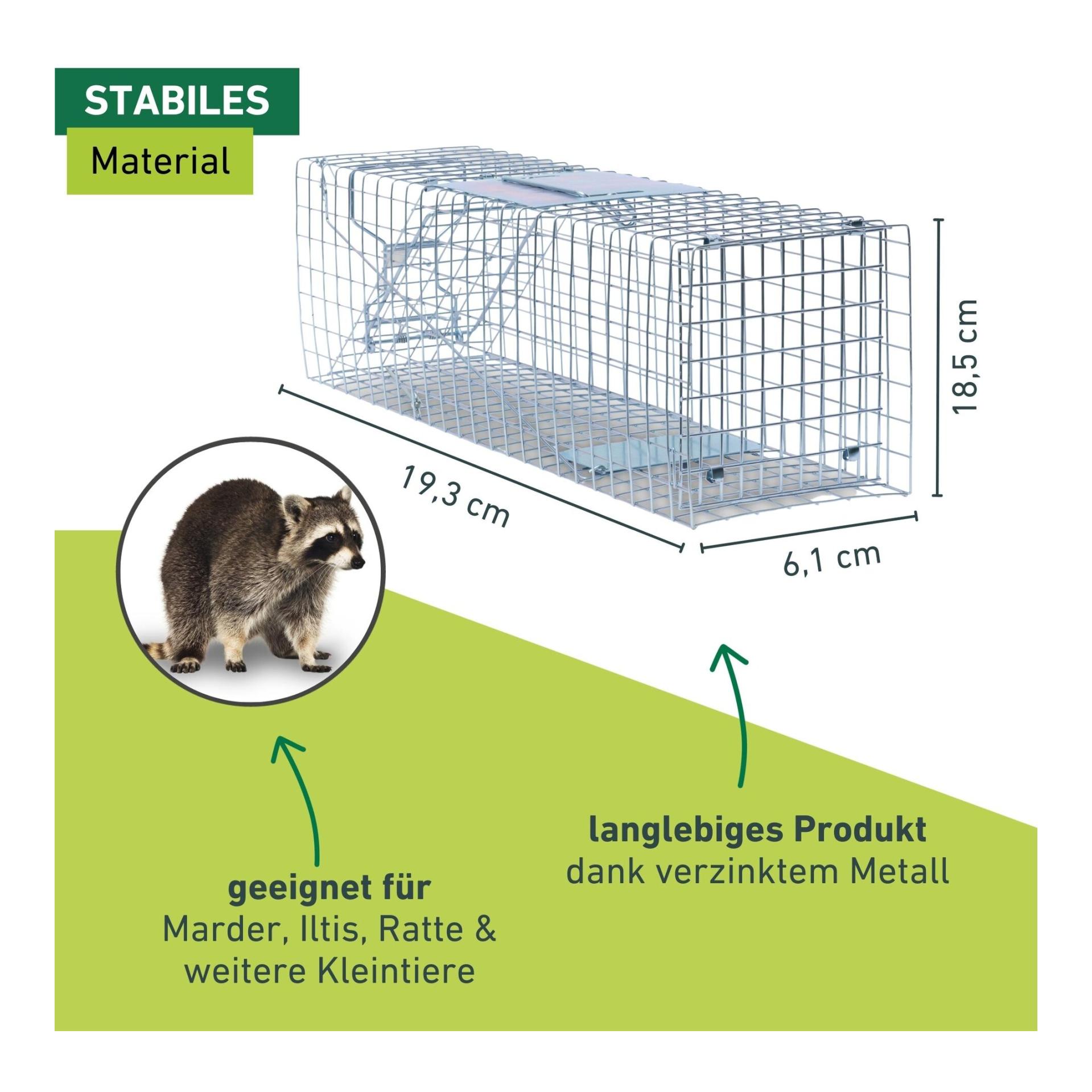Windhager Piège à martres avec cage grillagée galvanisée