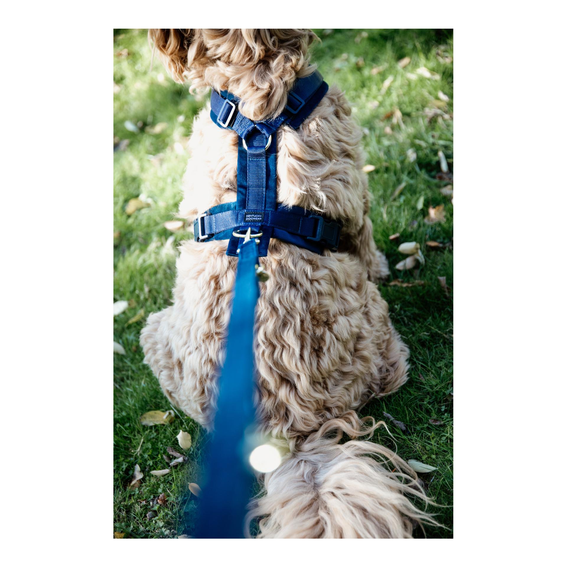 Kentucky Dogwear Hundeleine Velvet