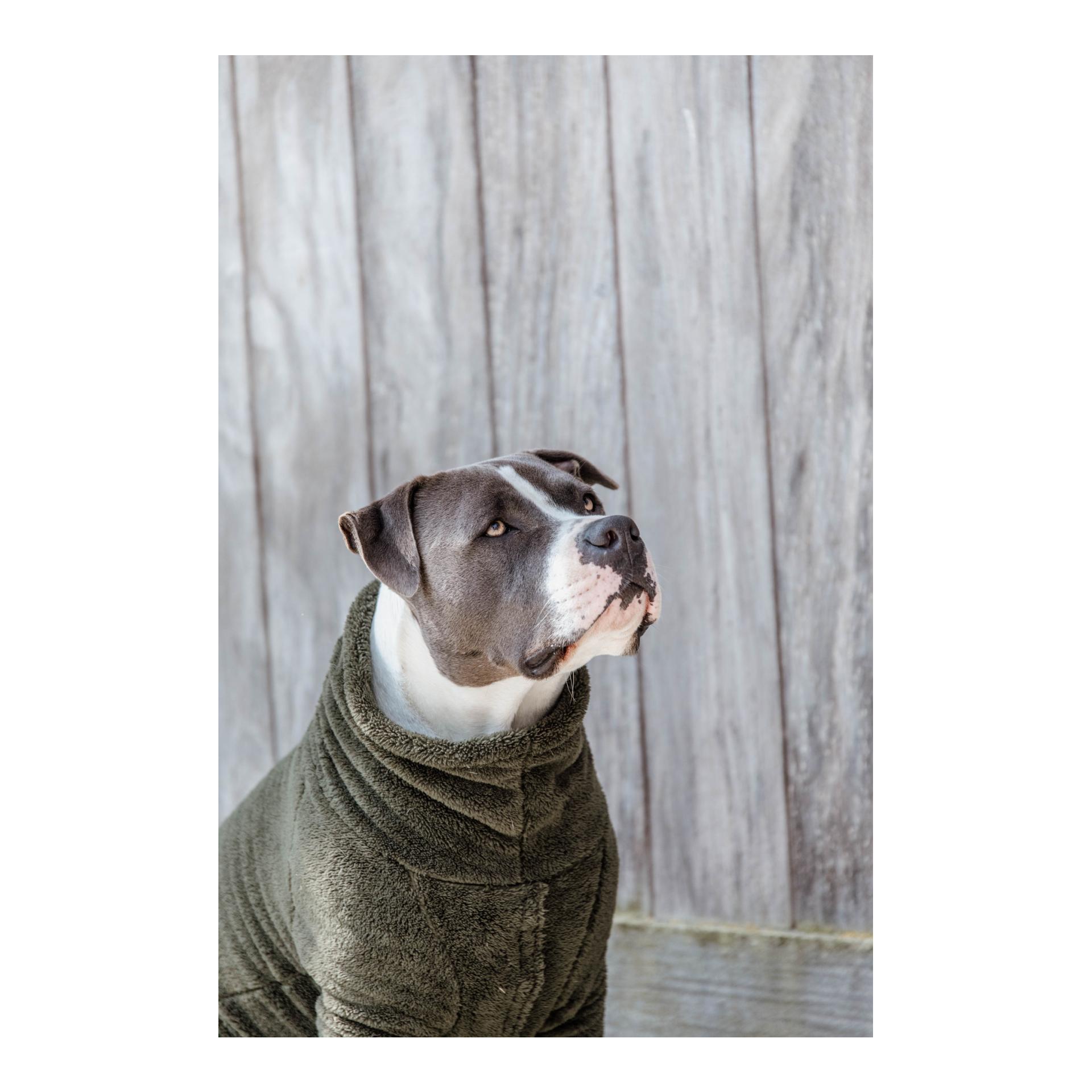 Kentucky Dogwear Pullover pour chien Teddy Fleece - Pine Green