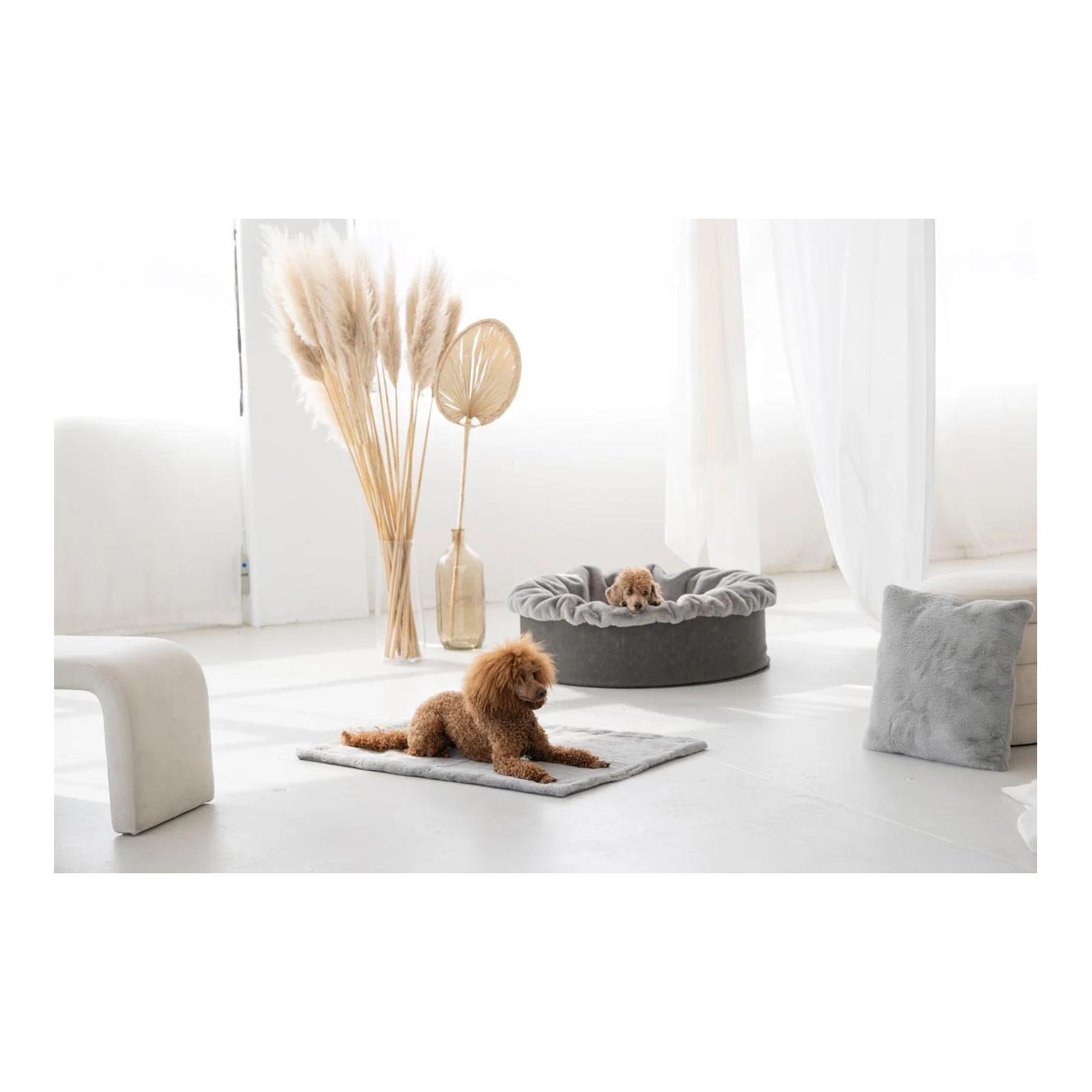 Dogspring by MAUL Hundebett Buddelnest®