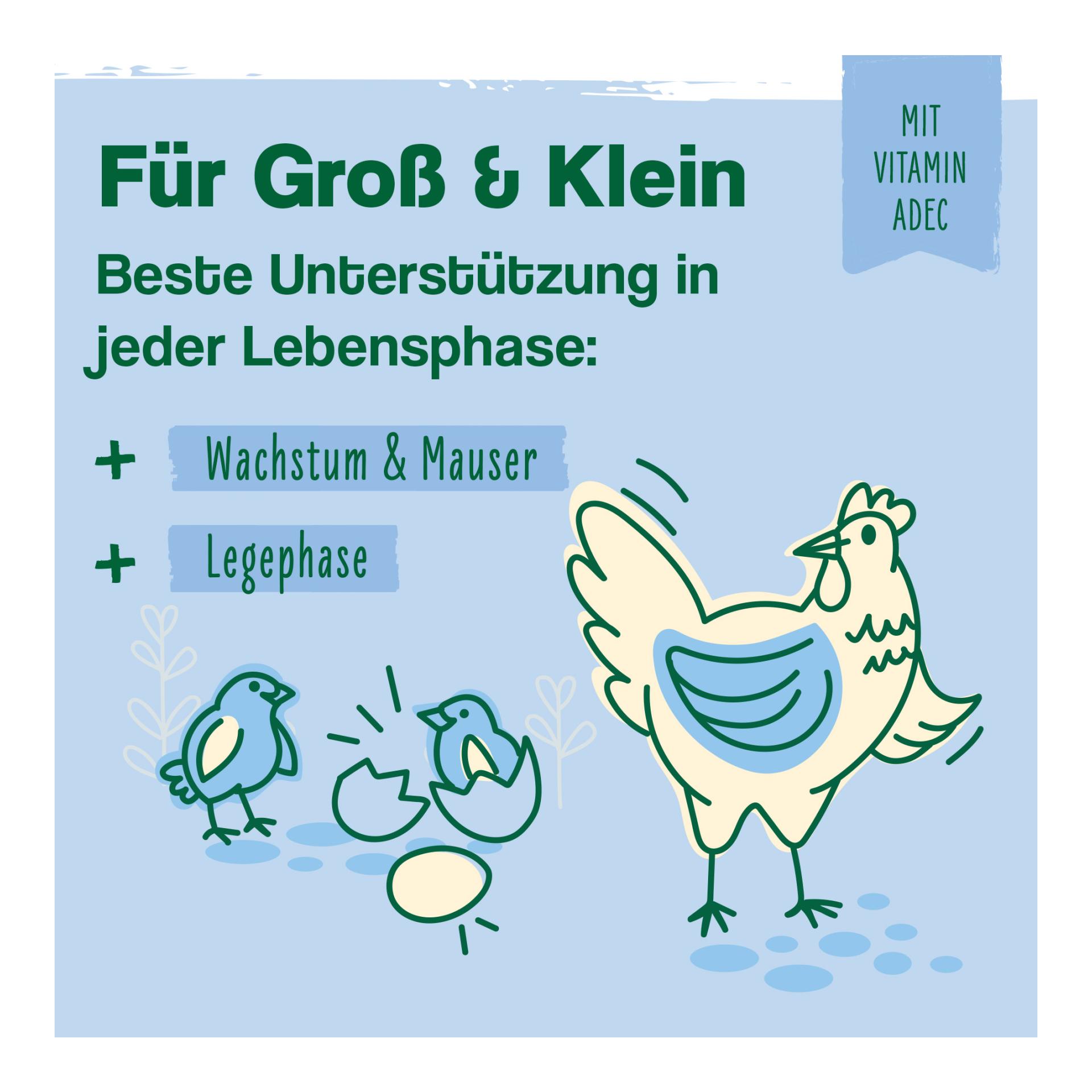 IdaPlus VitalBoost 4in1 – Vitaminkonzentrat für starke Abwehrkräfte