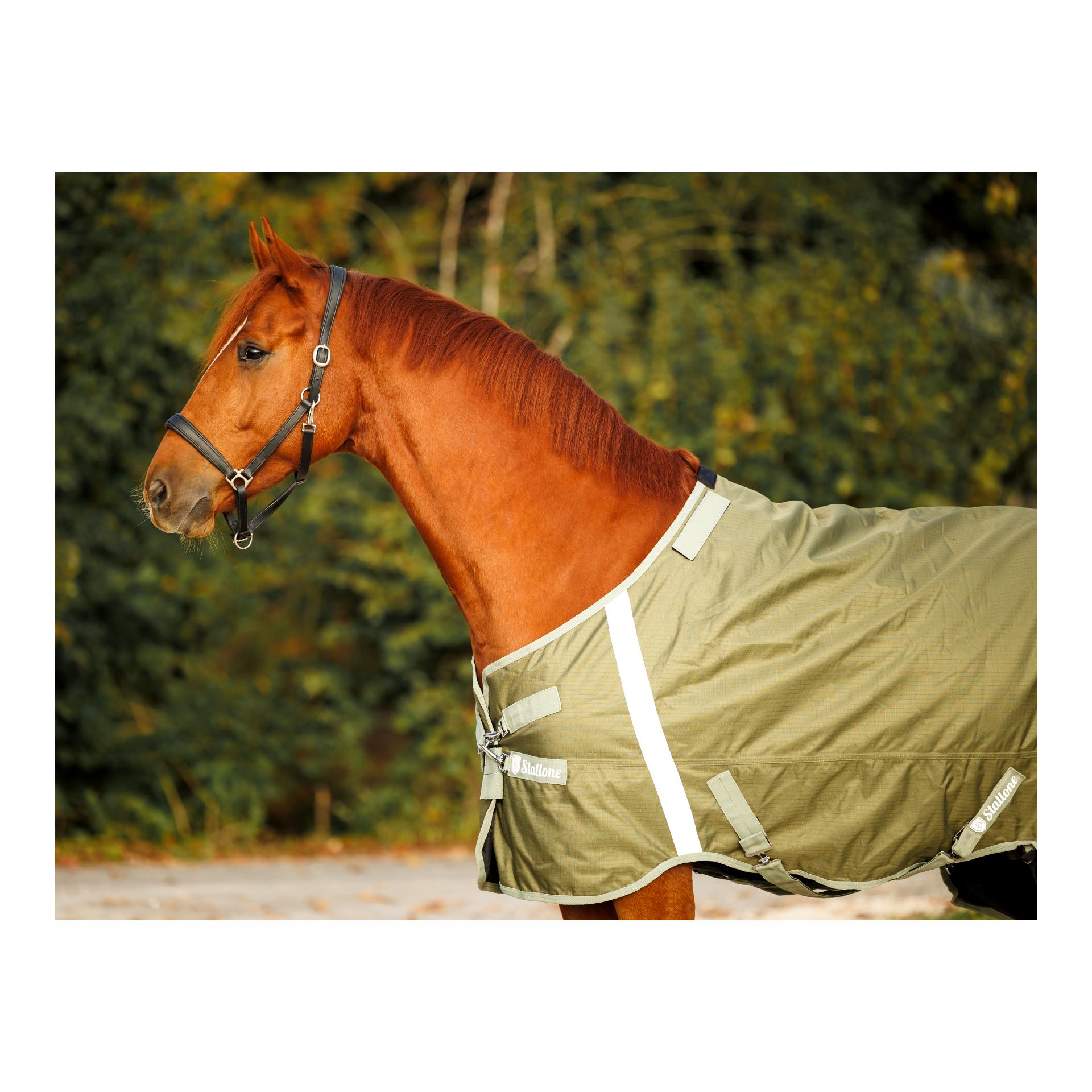 Stallone Weidedecke 100 g Outdoor Guard
