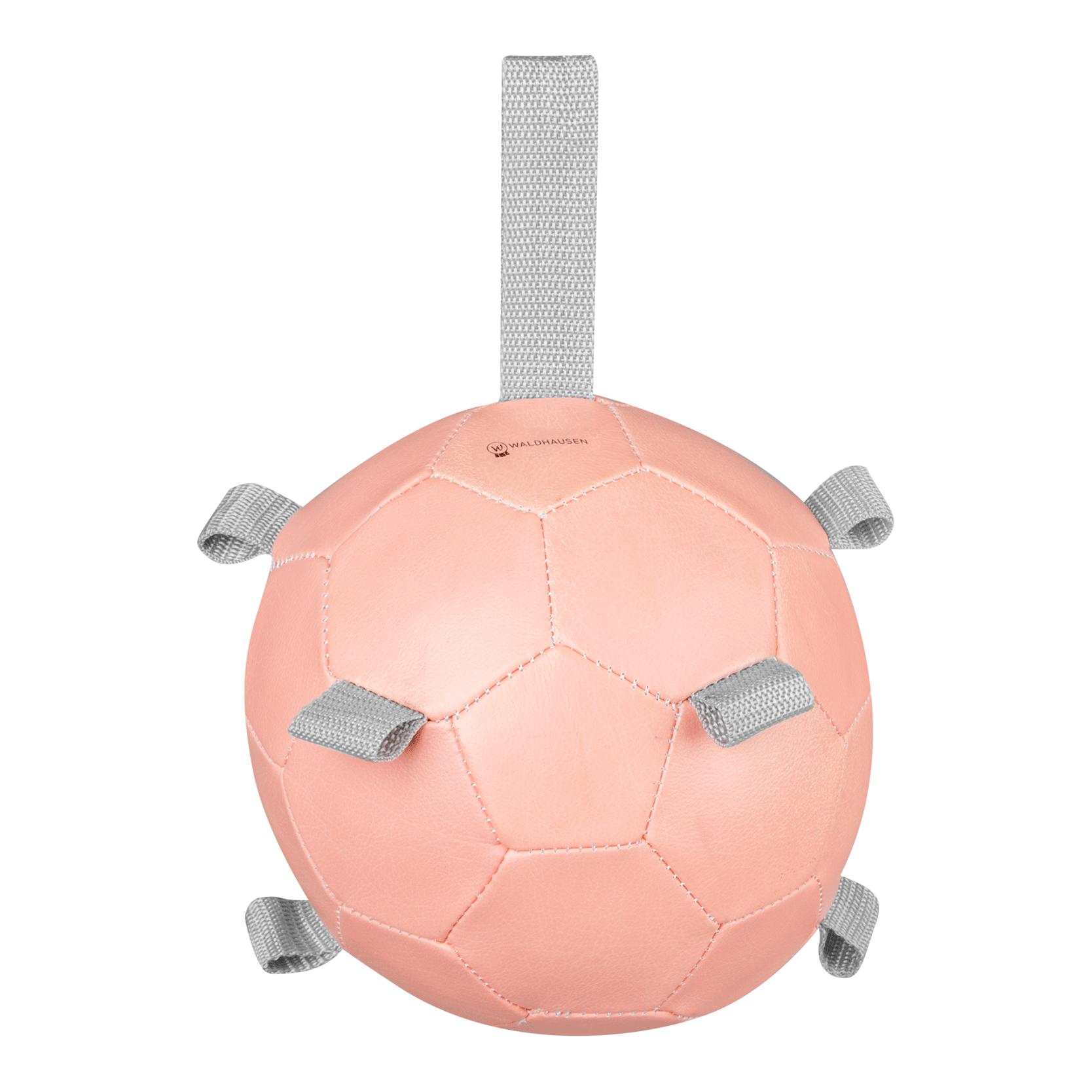 Waldhausen Karottenball Rosa