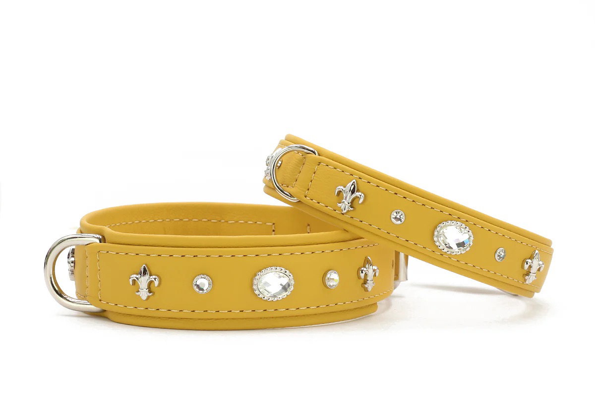 Maul Lederwaren Hundehalsband Diamond