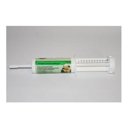 Hauptner Paste gegen Durchfall (Enterogast)