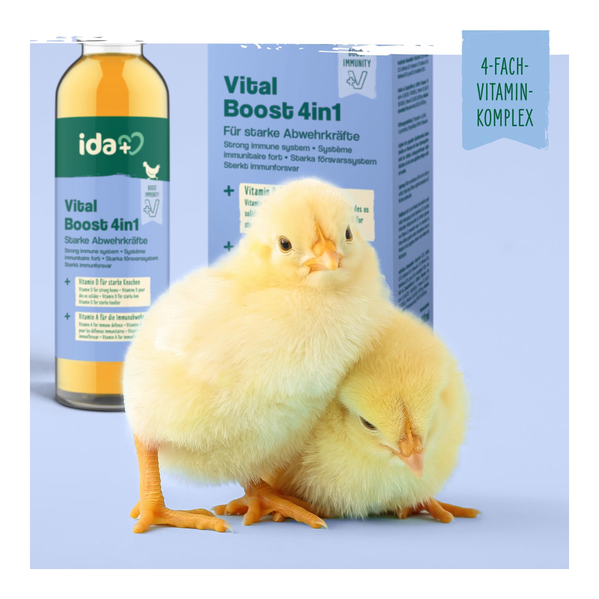 IdaPlus VitalBoost 4in1 – Vitaminkonzentrat für starke Abwehrkräfte