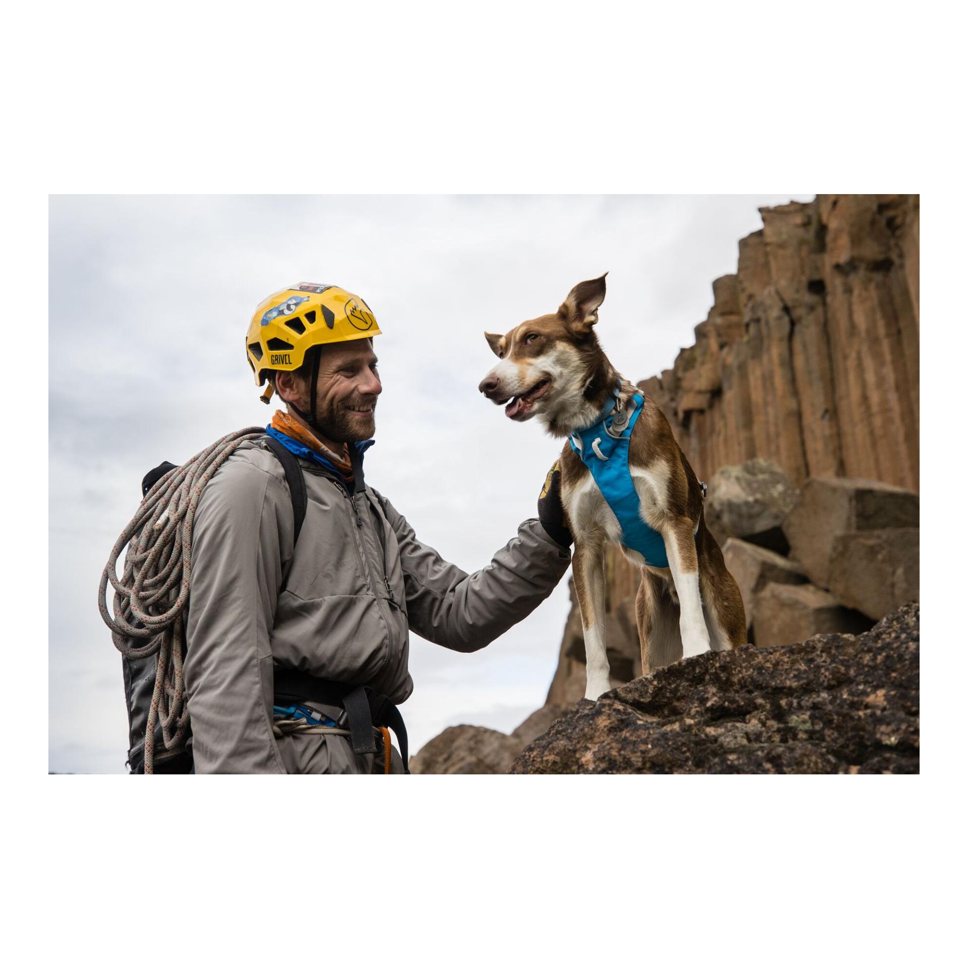 Ruffwear Harnais Flagline™