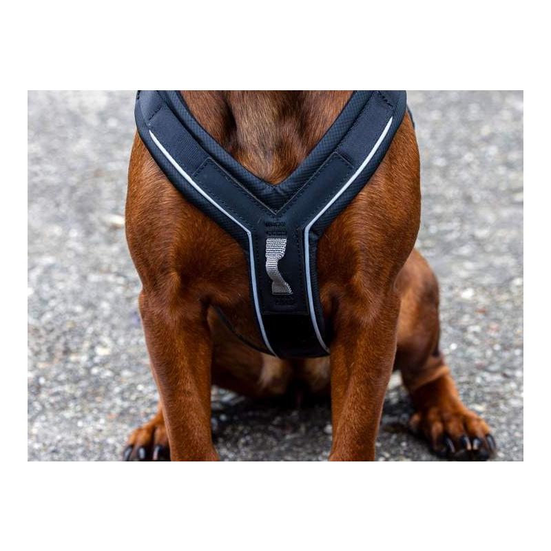 Kerbl Pet Hundegeschirr Dallas