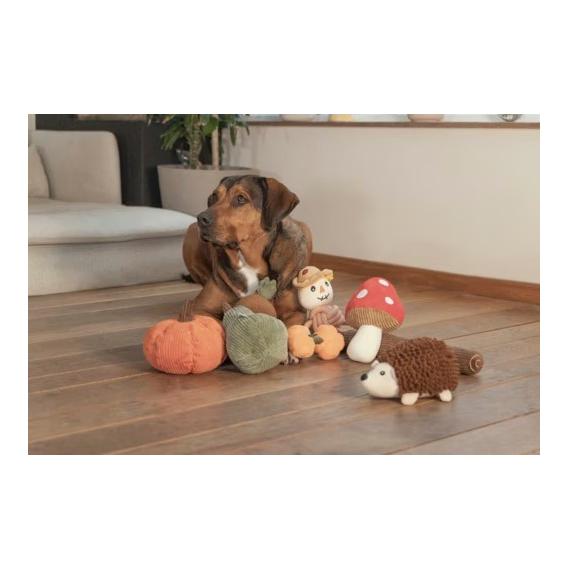 Beeztees Plüsch Hundespielzeug Blatt mit Seil