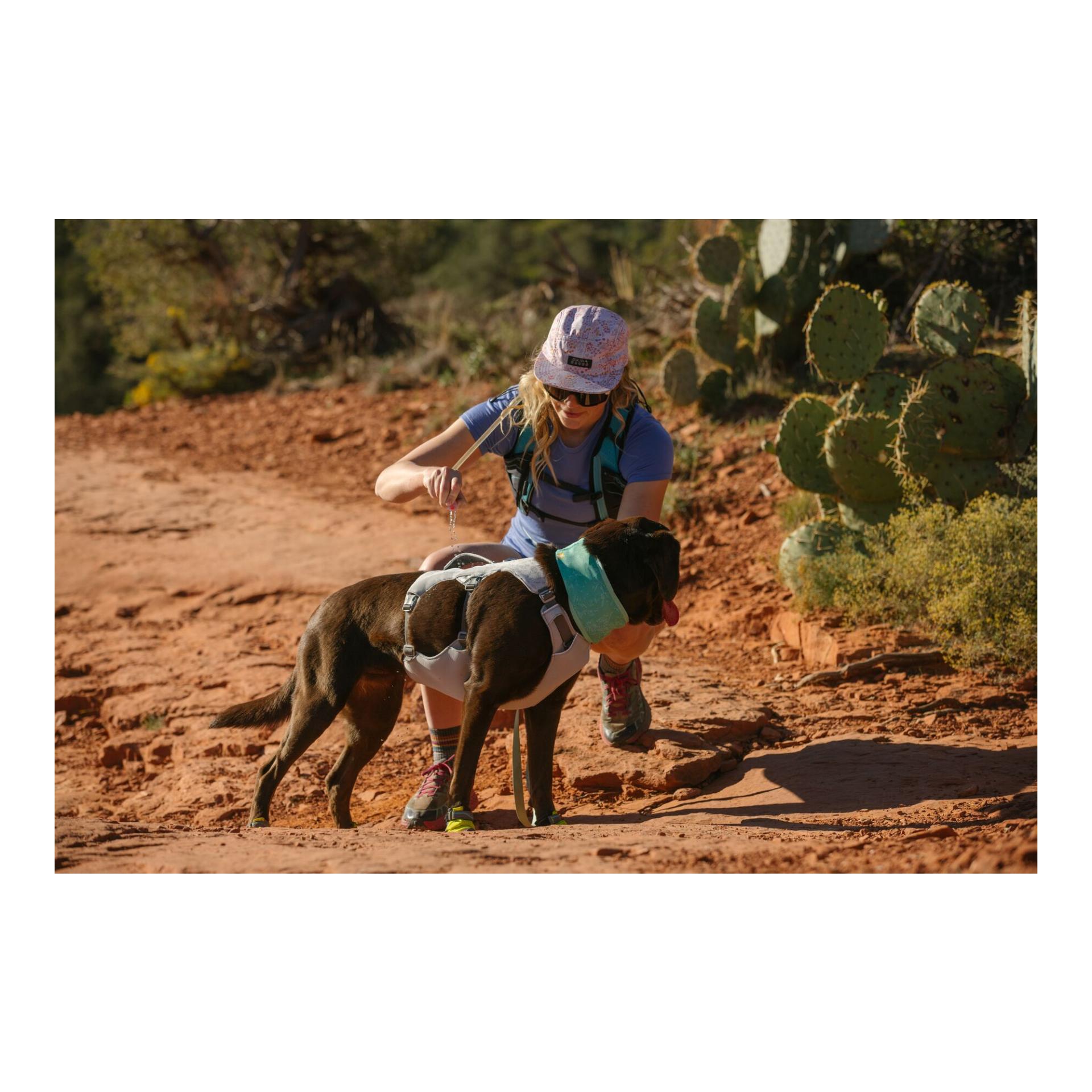 Ruffwear Swamp Cooler™ Geschirr