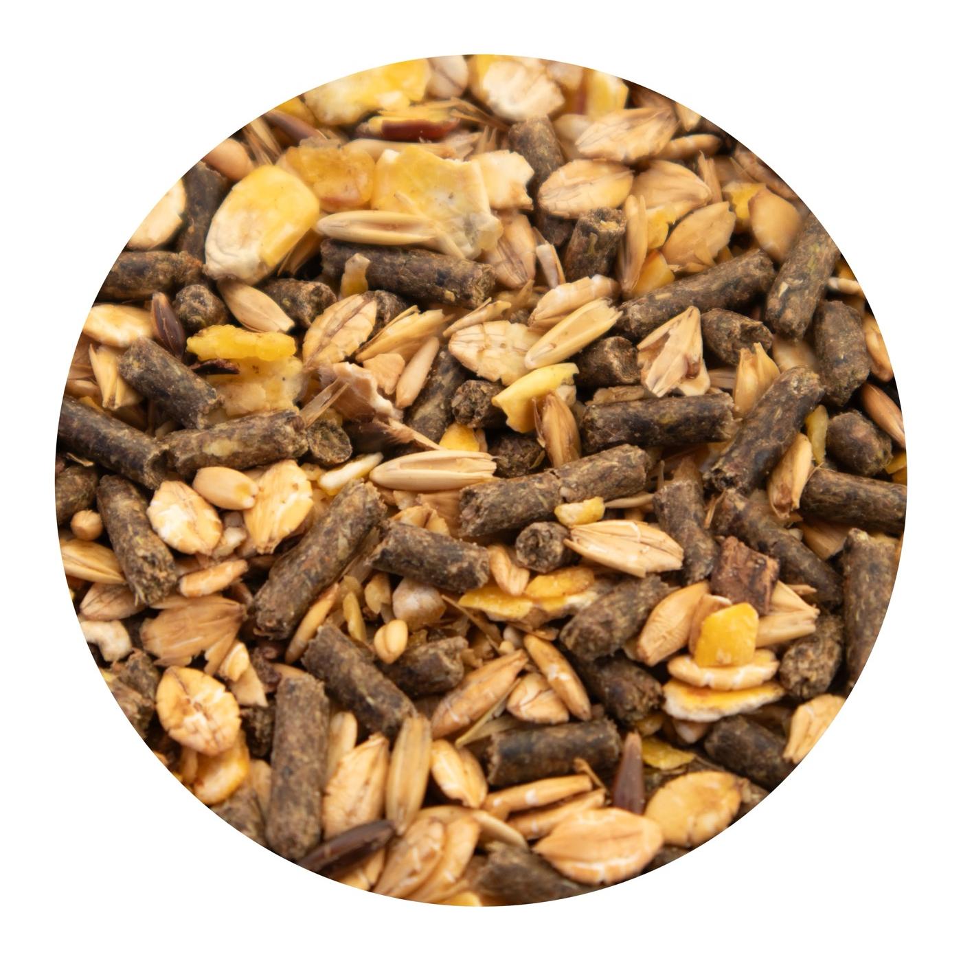 granovit Cavallo Corn-Mix avec avoine – Aliment pour chevaux de sport & de loisir, granulés et flocons