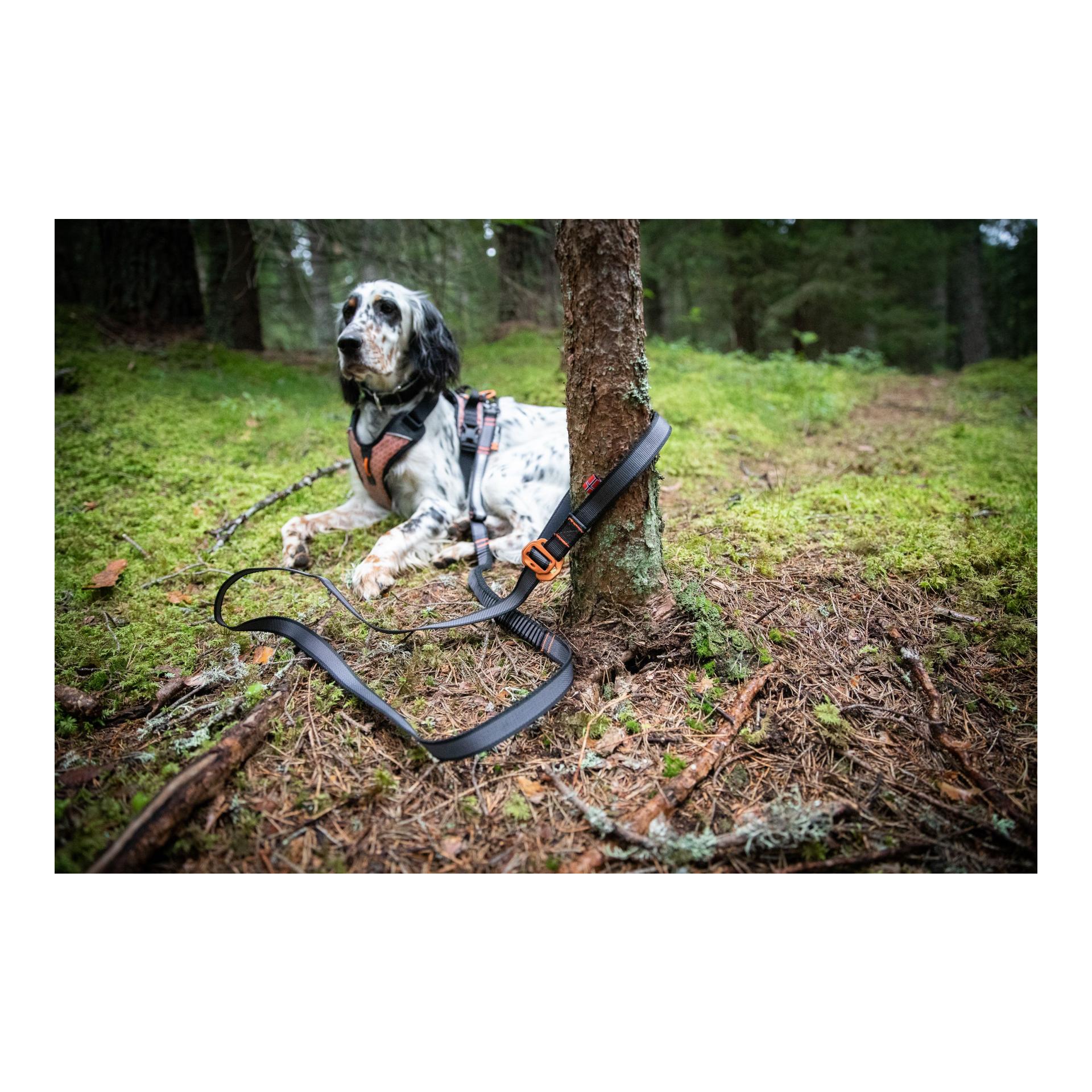 Non-stop Dogwear Hundeleine Touring Bungee Leash Adjustable