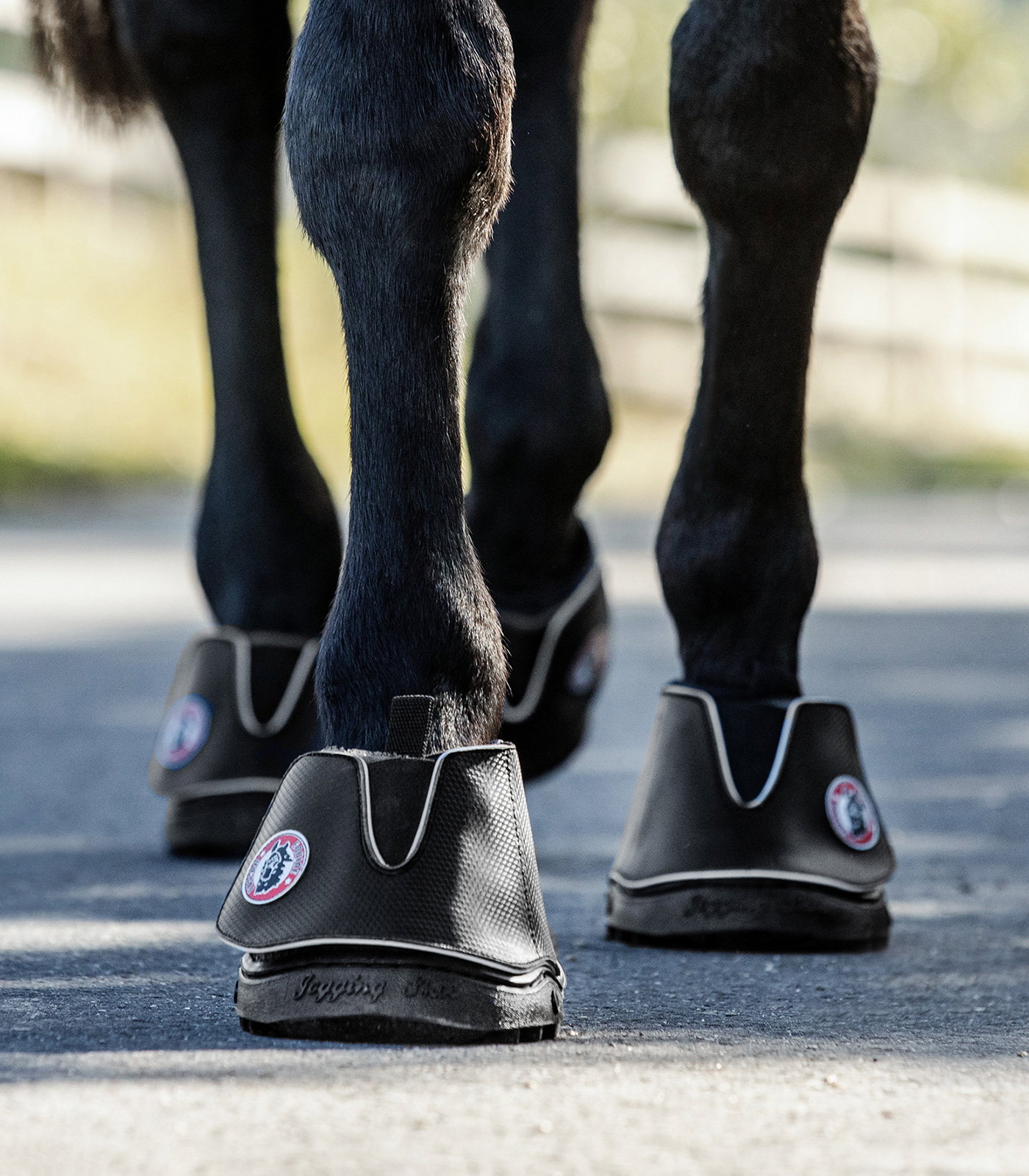 Equine Fusion Equine Fusion Active Jogging Shoe Regular