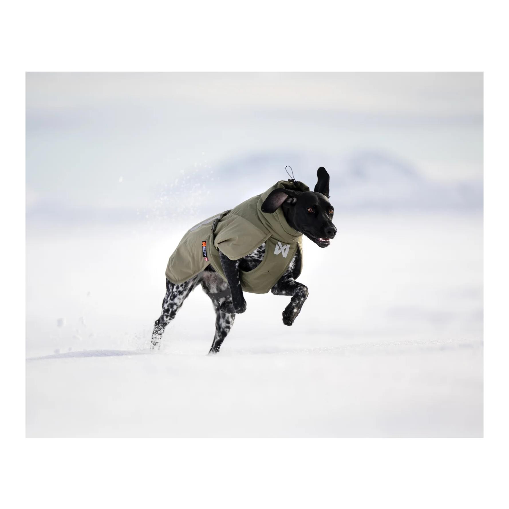 Non-stop Dogwear Veste d'hiver pour chien Glacier wool jacket 3.0