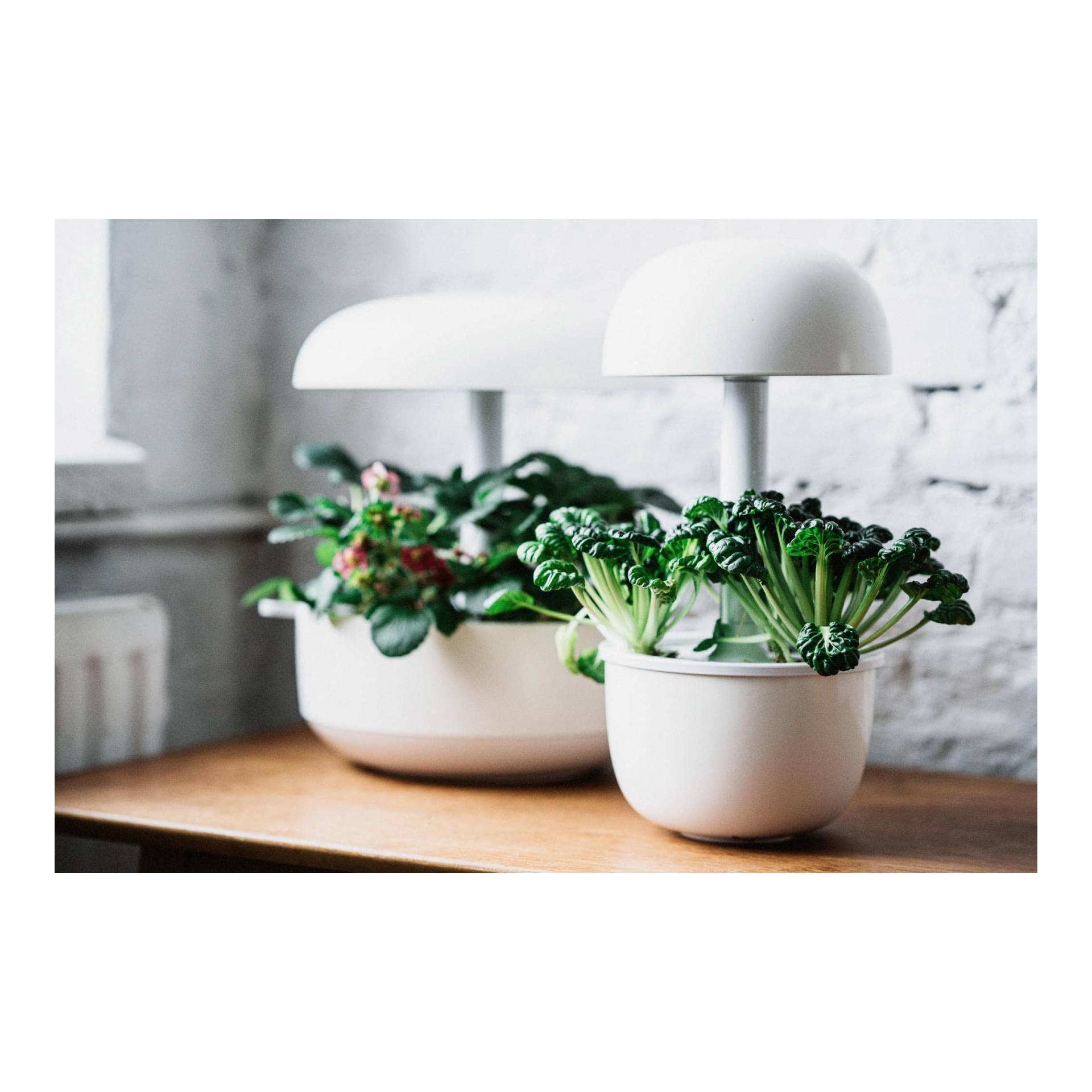 Plantui Smart Garden 3e