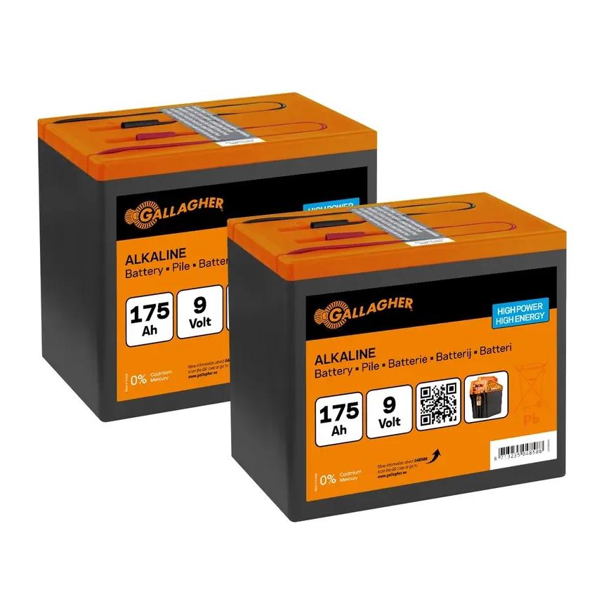 Gallagher Duopack Alkaline Batterie Schwarz