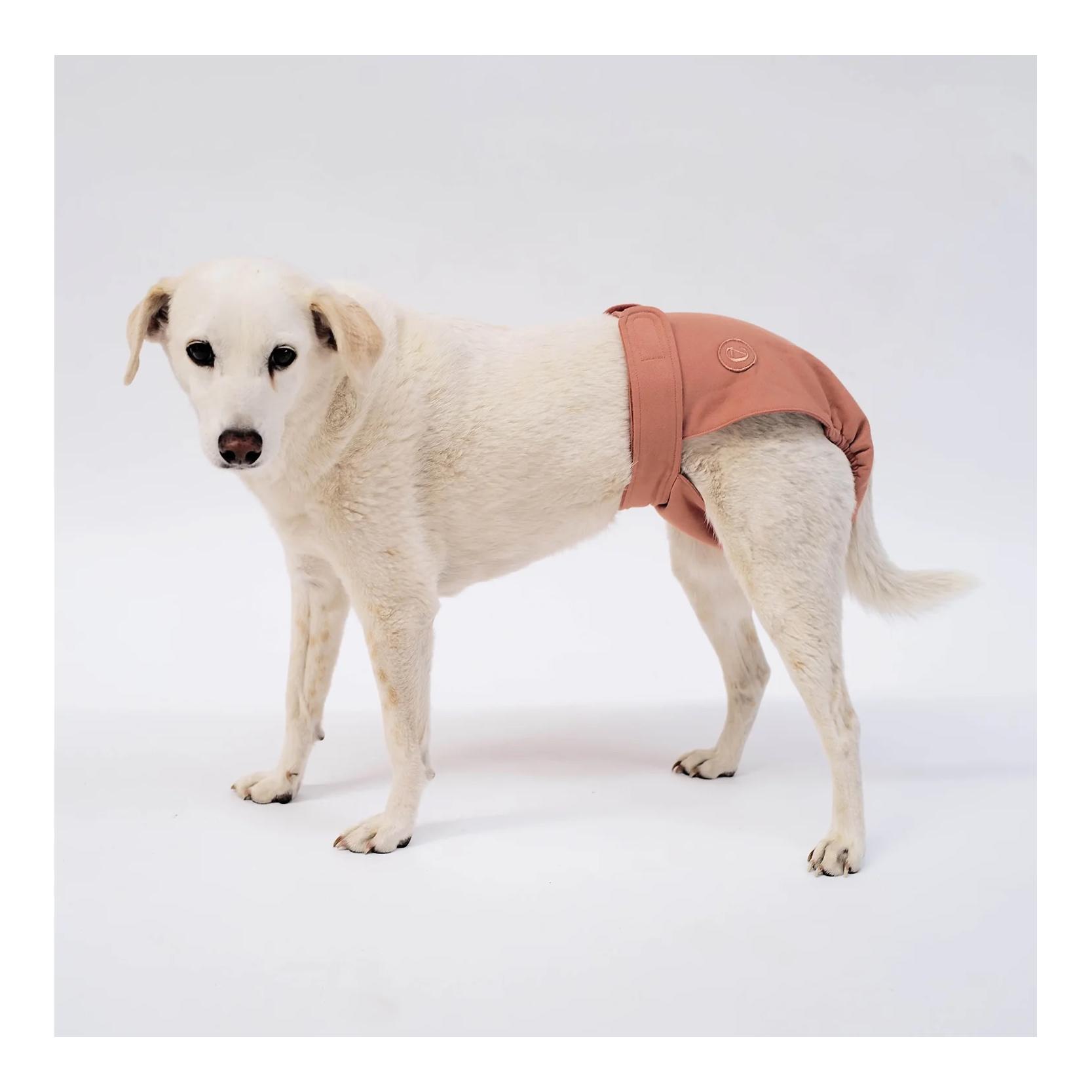Cloud 7 Culottes pour chien en chaleur