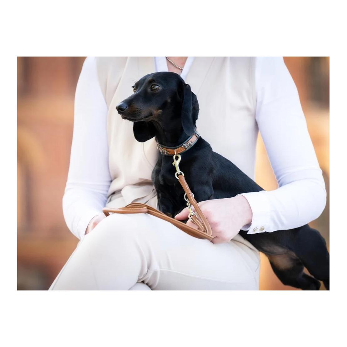 Maul Lederwaren Hundehalsband Mini Dackel
