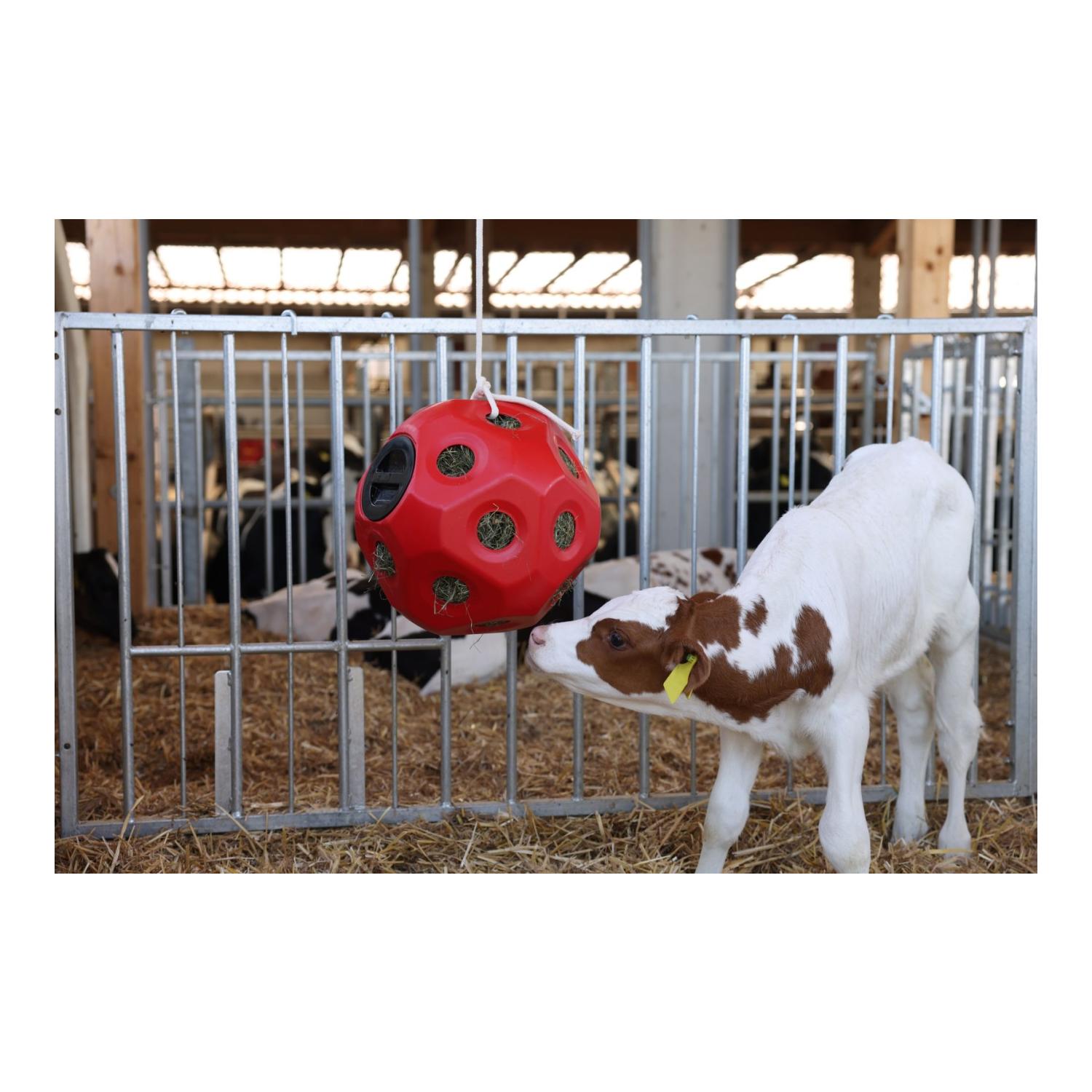 Kerbl HeuBoy Futterspielball