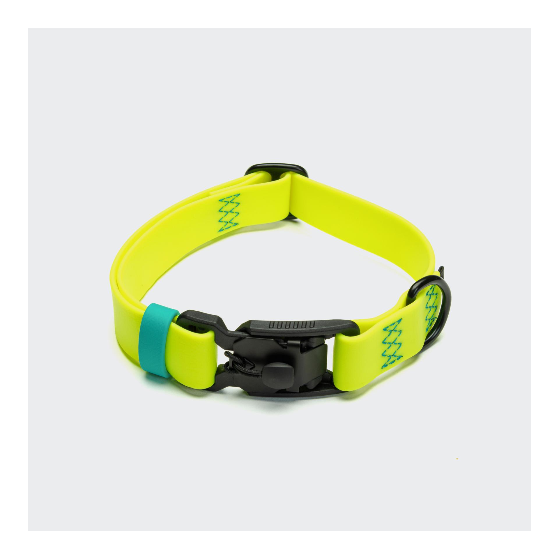 Neon Yellow / Aqua