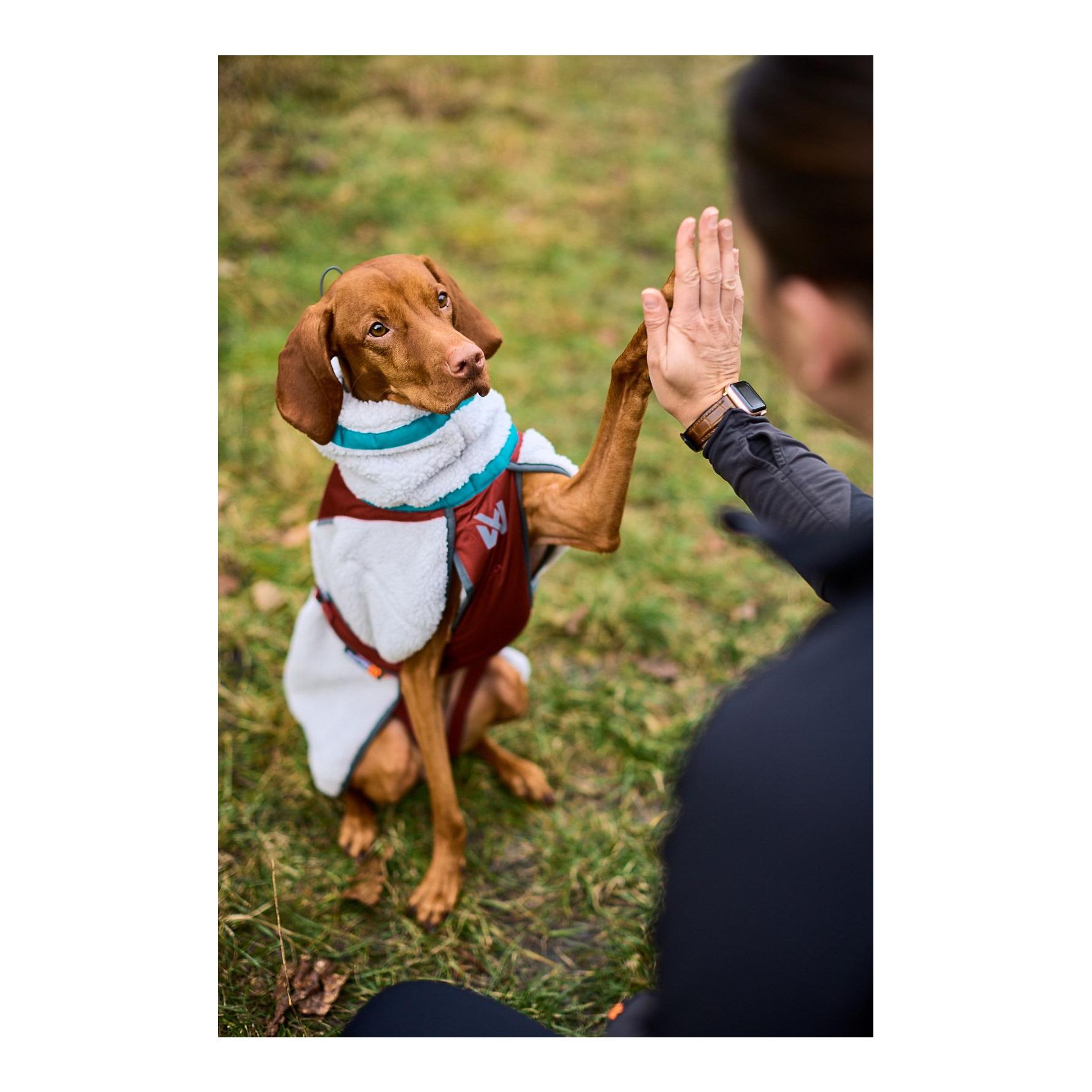 Non-stop Dogwear Hundejacke Trekking fleece