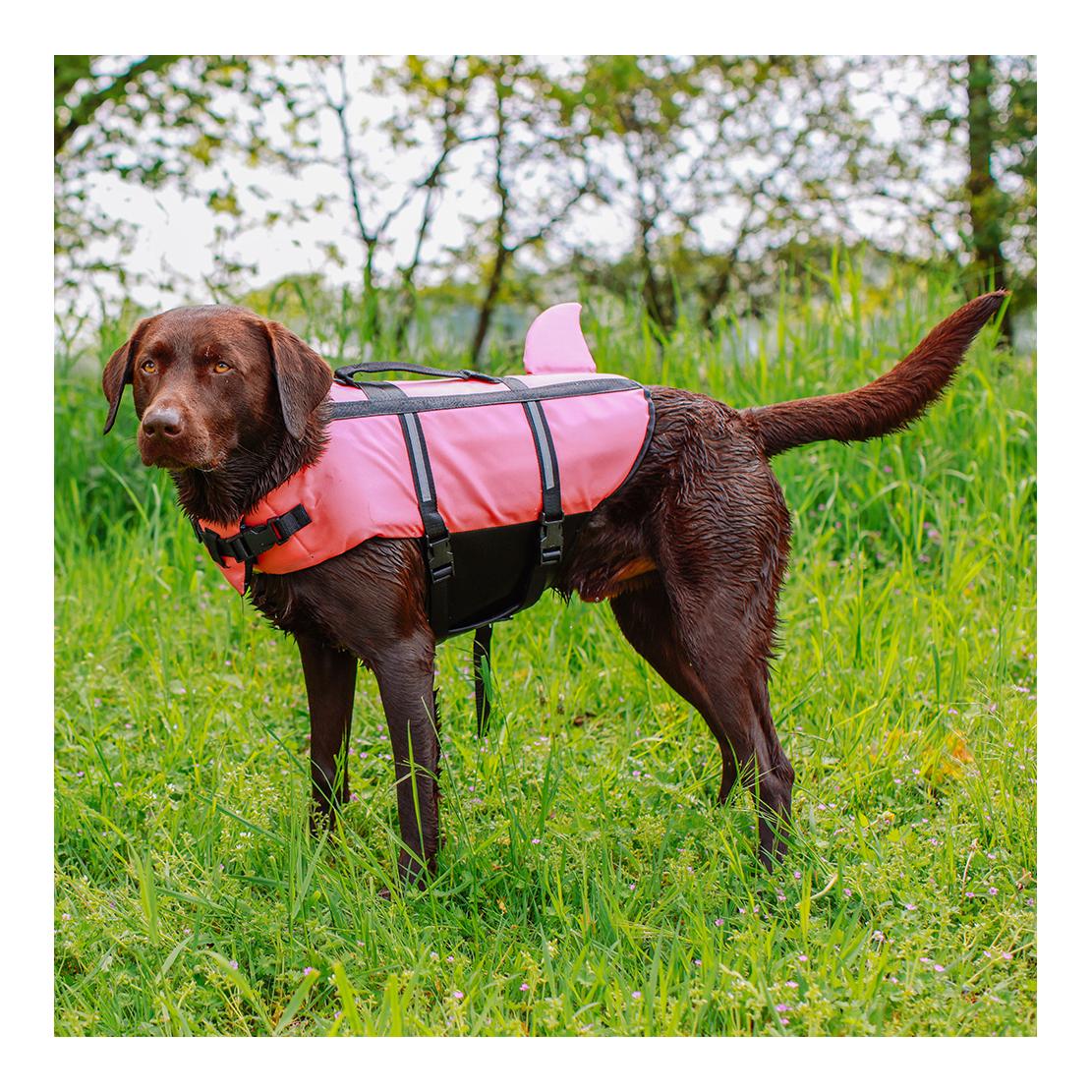 Nobby Hunde Schwimmhilfe Shark