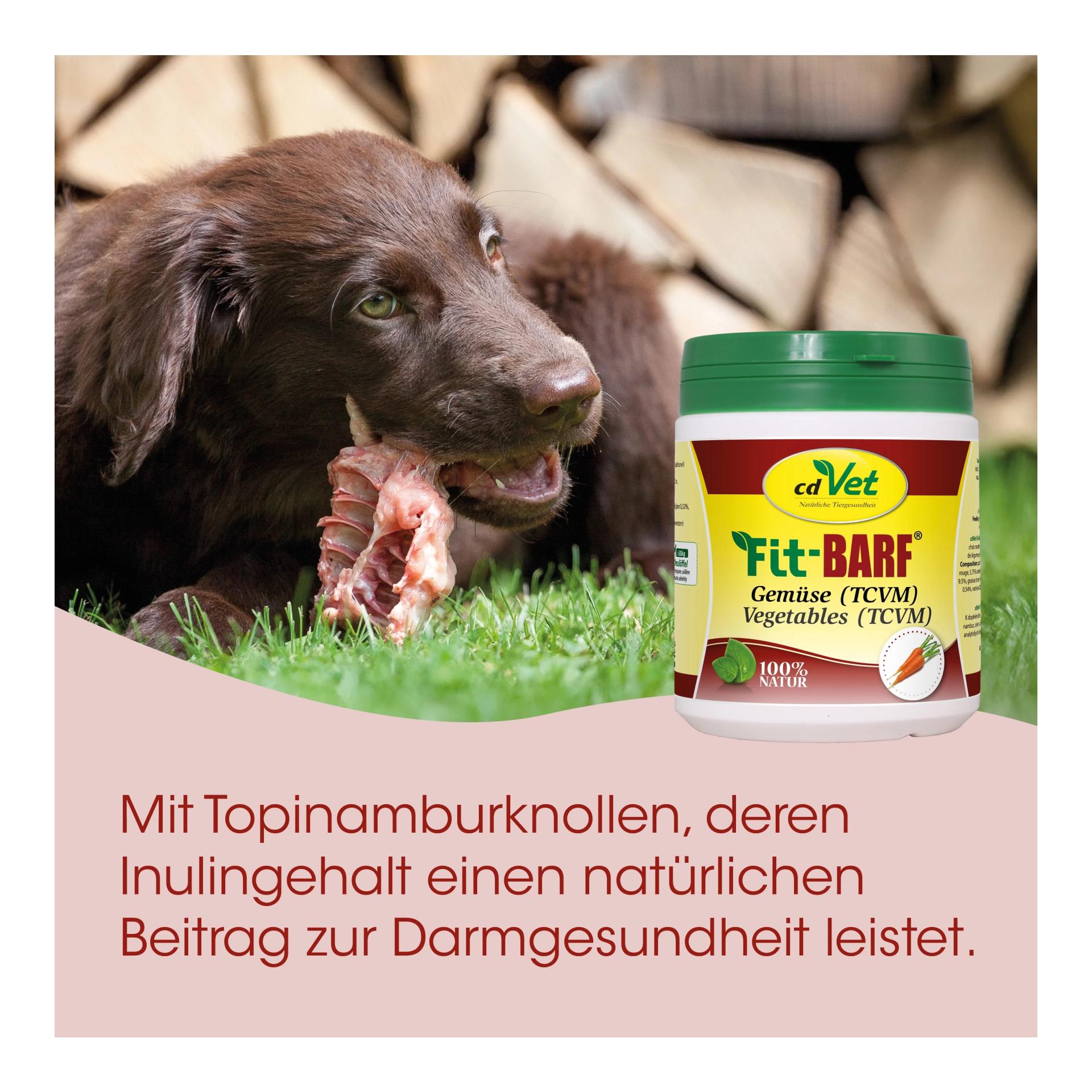 cdVet Fit-BARF Gemüse (TCVM)