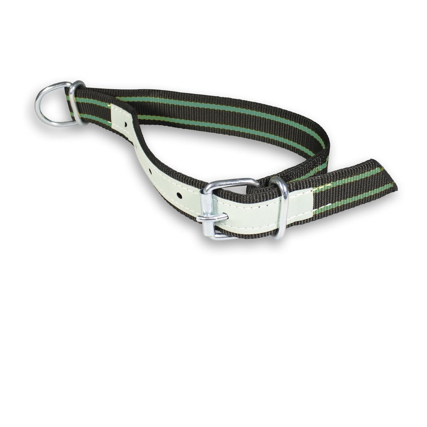 Hauptner Collier avec boucle à ardillon 40 mm