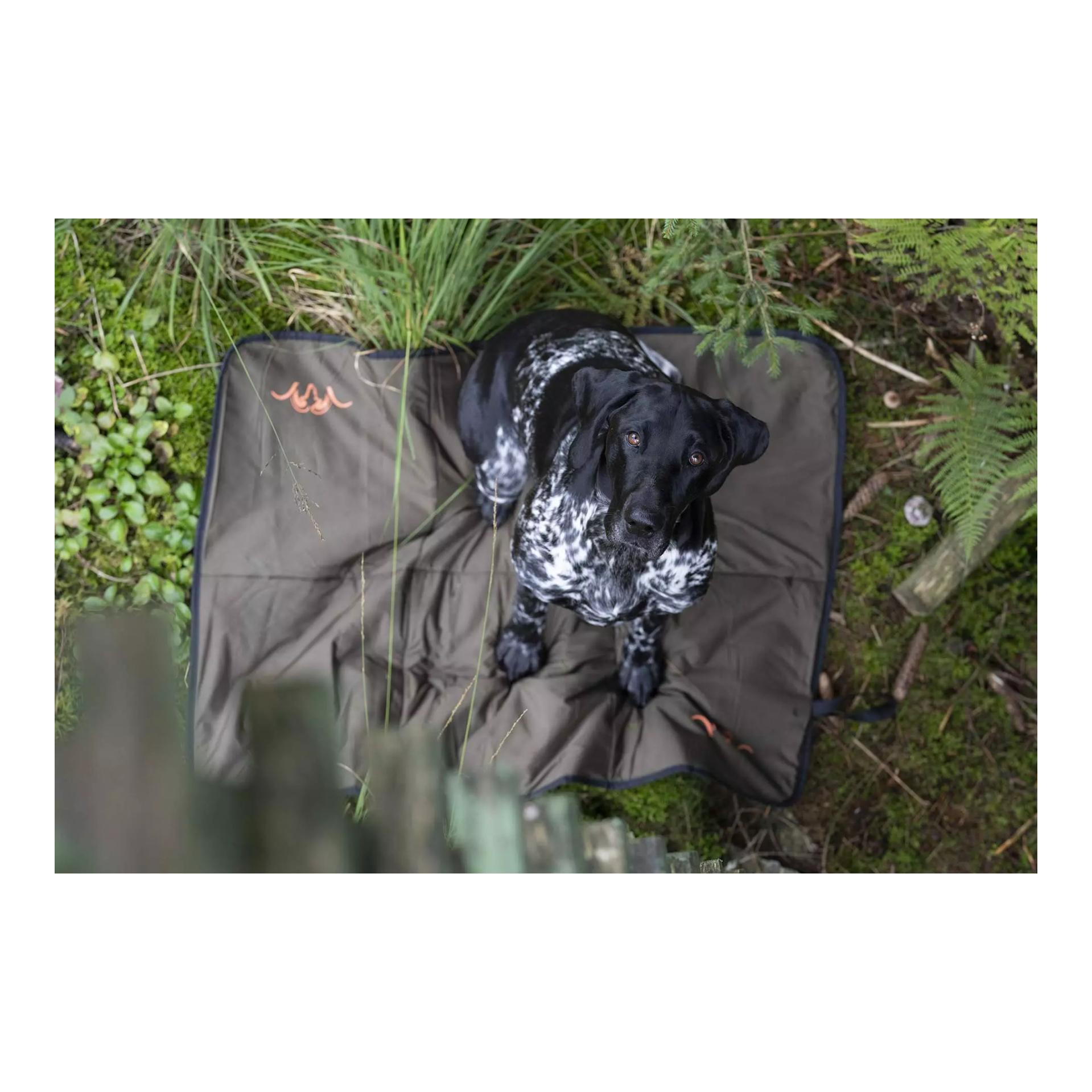 Blaser Hundedecke HunTec Camo