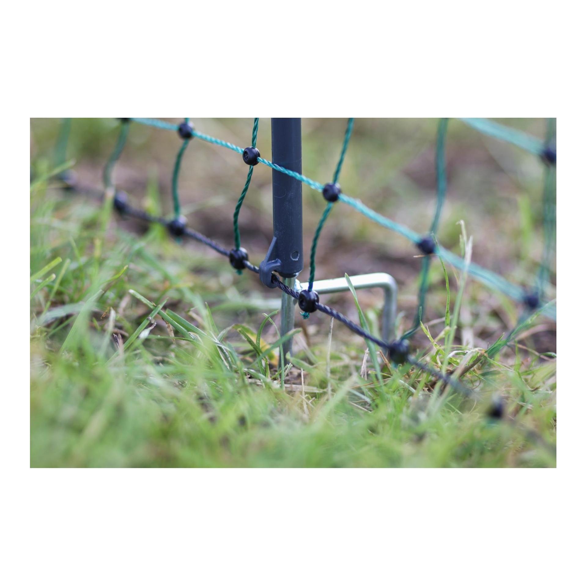 AKO Geflügelnetz Premium - 122 cm x 50 m