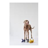 Hunter Jouet pour chien Eiby éléphant - gris