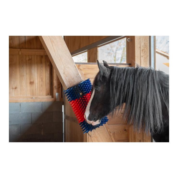 Kerbl Brosse à gratter XL