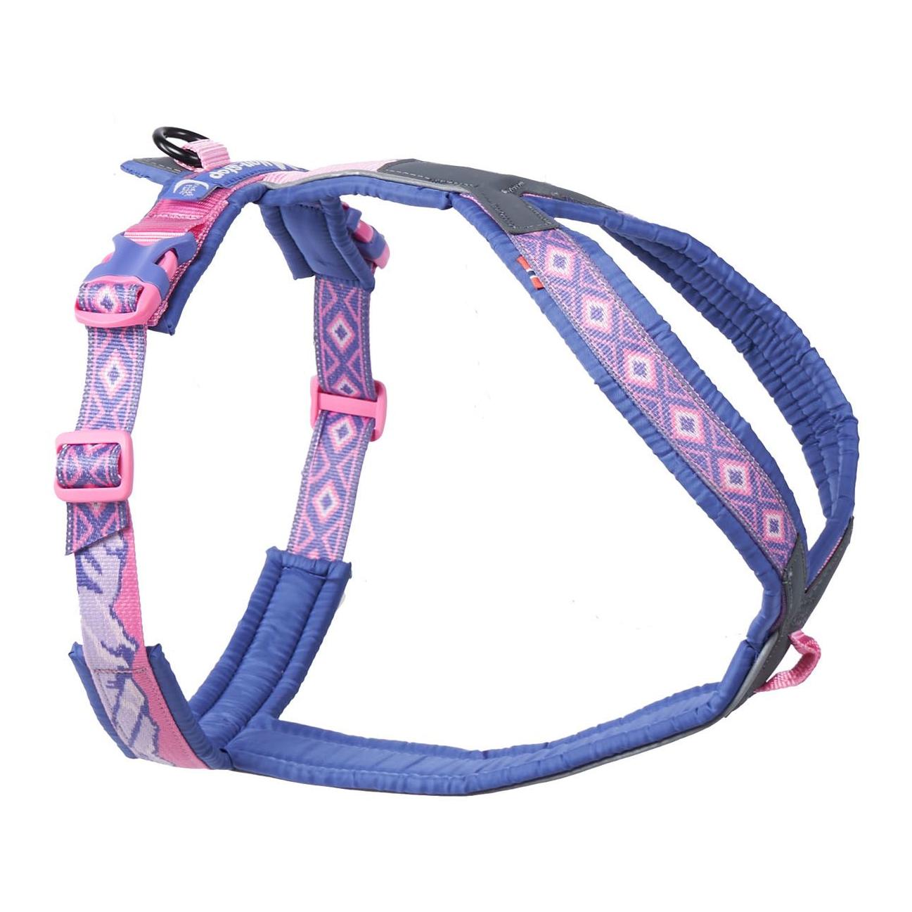 Purple / Pink