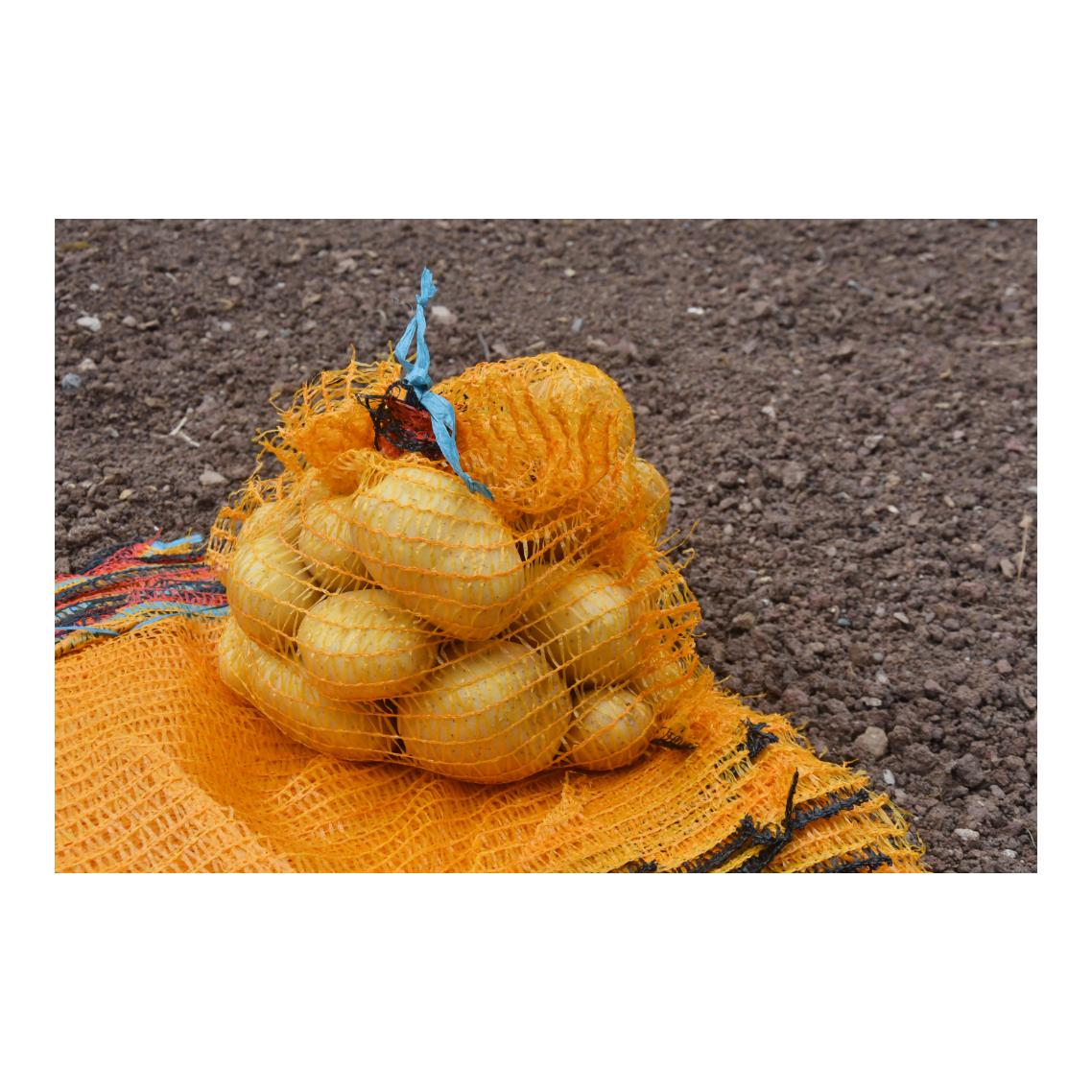 Hauptner Sacs à pommes de terre / sacs à fruits avec lien coulissant - 100 pièces