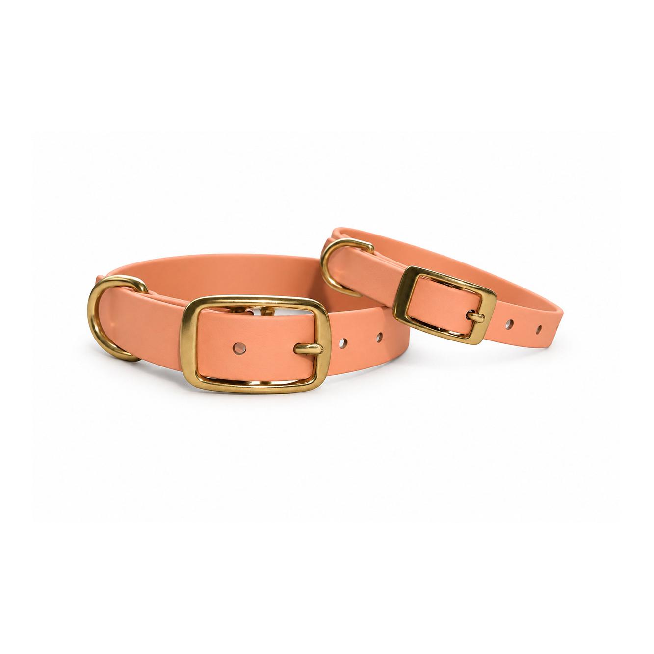 Treusinn. Hundehalsband verstellbar Biothane STAY